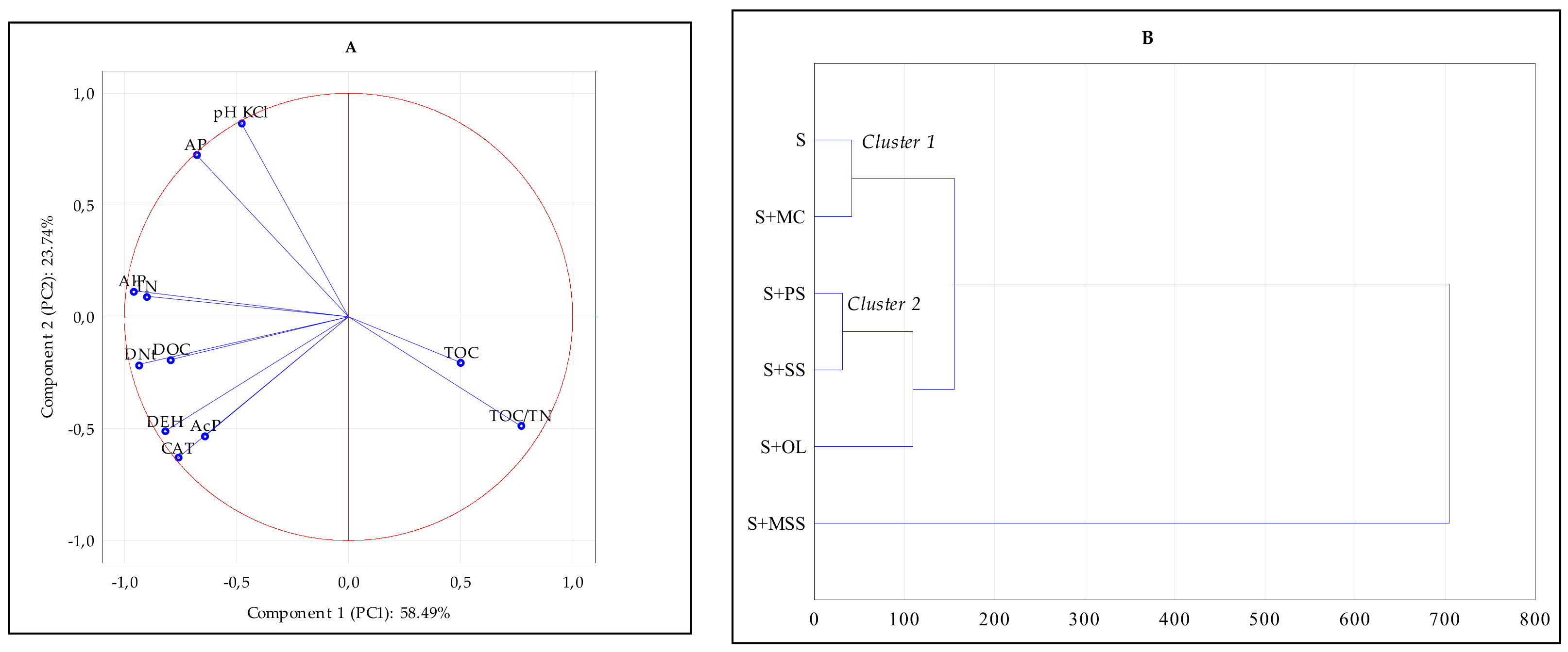 Agronomy 12 00569 g004