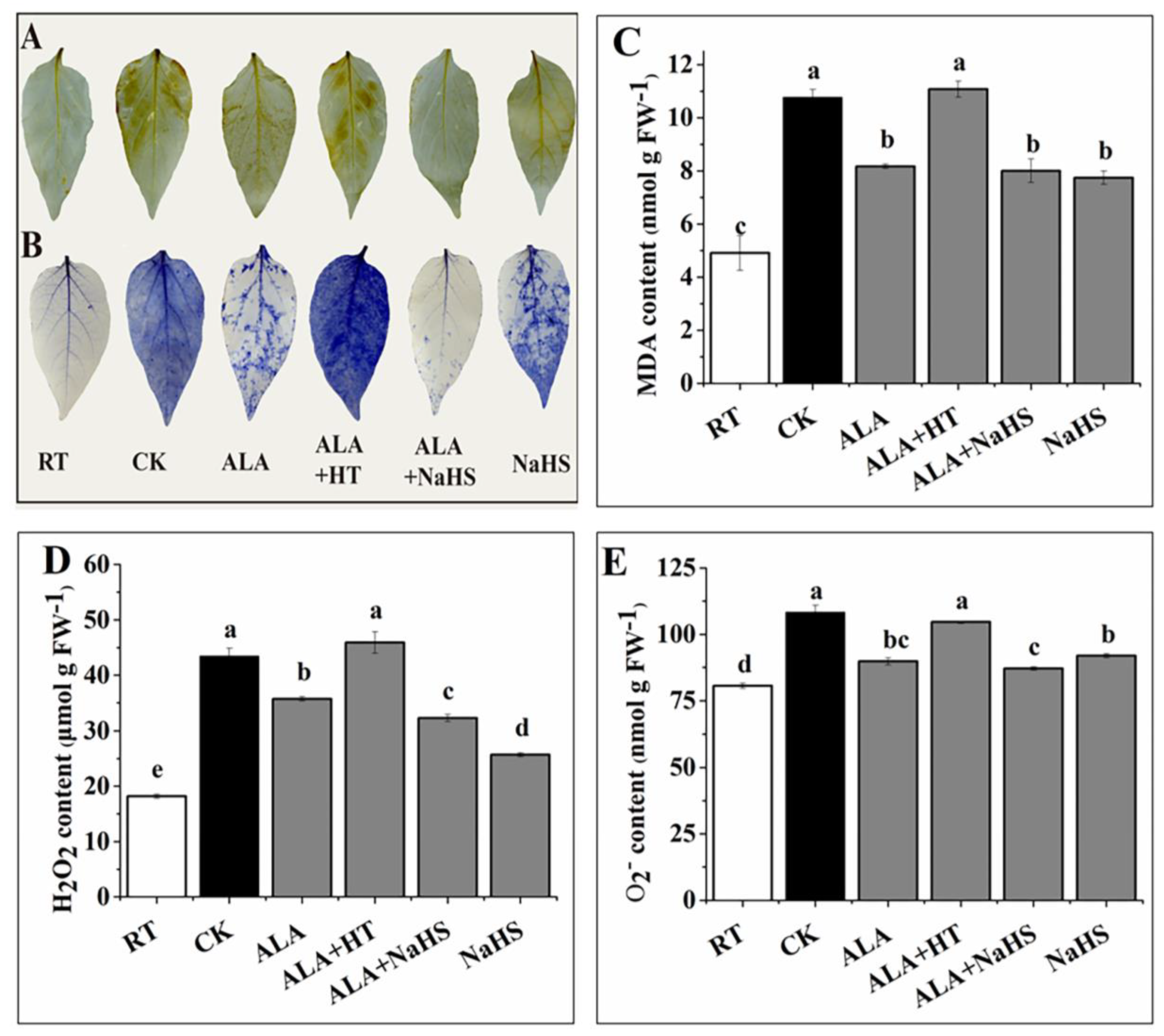 Agronomy 12 00572 g002 550