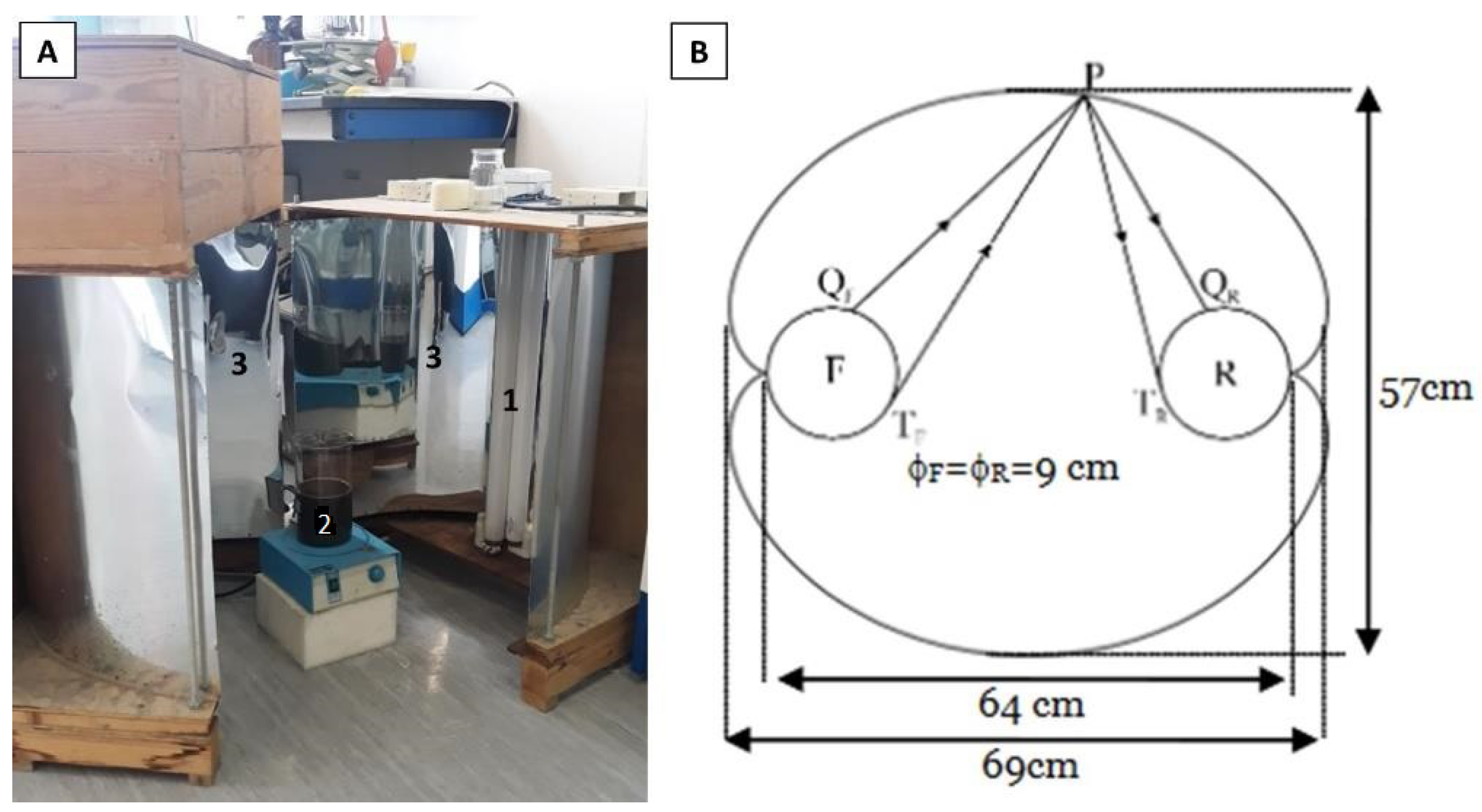 Agronomy 12 00580 g003