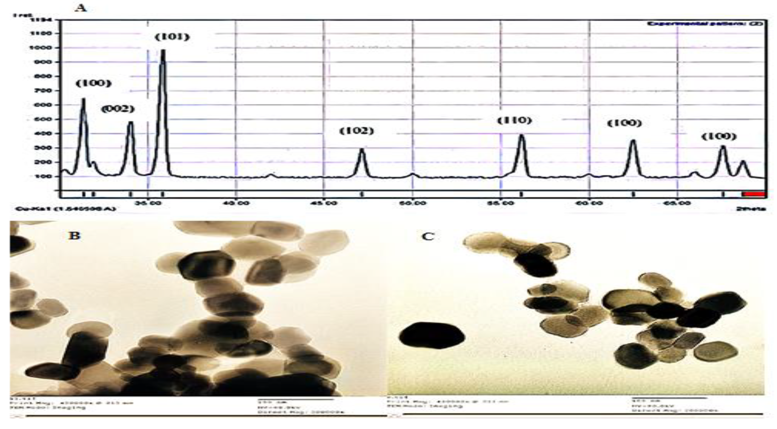 Agronomy 12 00585 g002 Agronomy 12 00585 g002