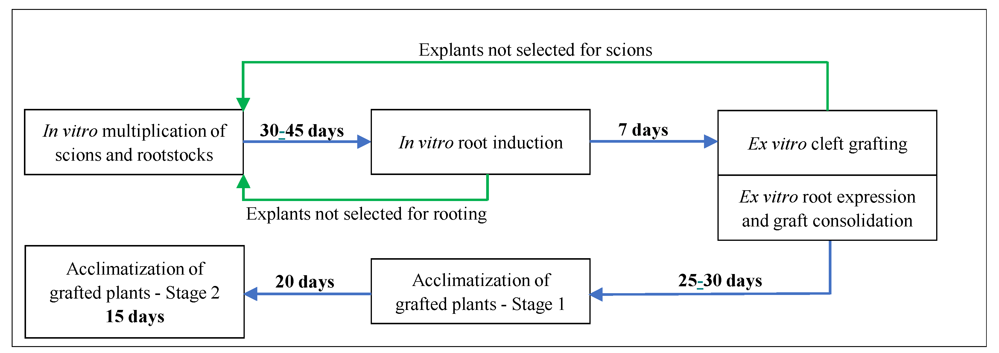 Agronomy 12 00595 g005