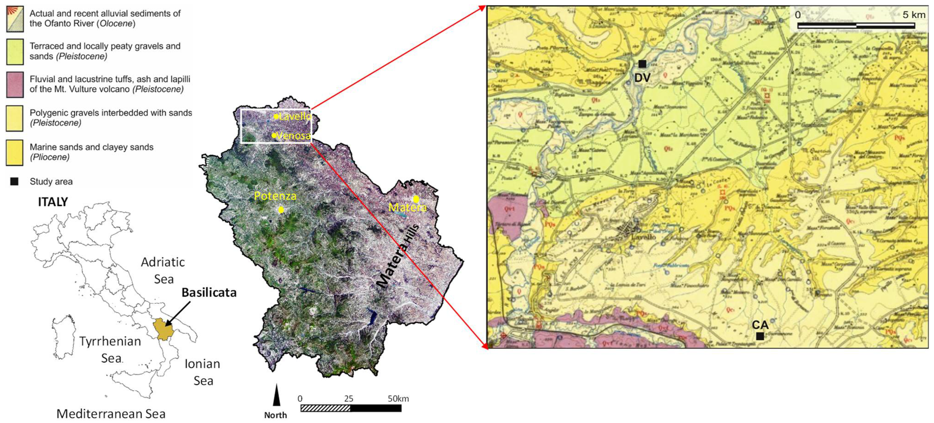 Agronomy 12 00597 g001 550