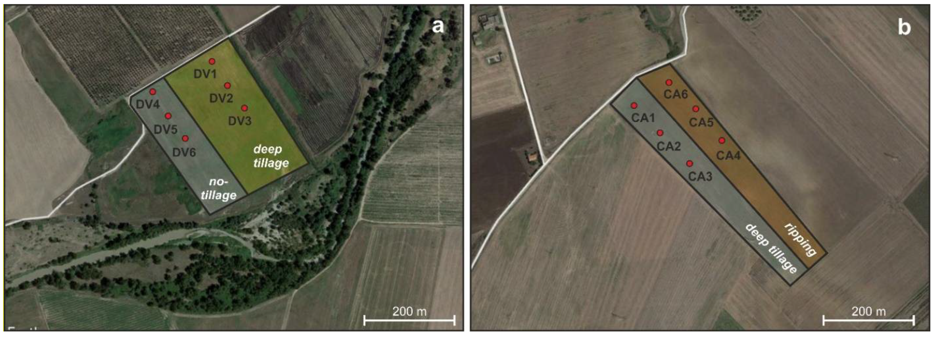 Agronomy 12 00597 g003 550