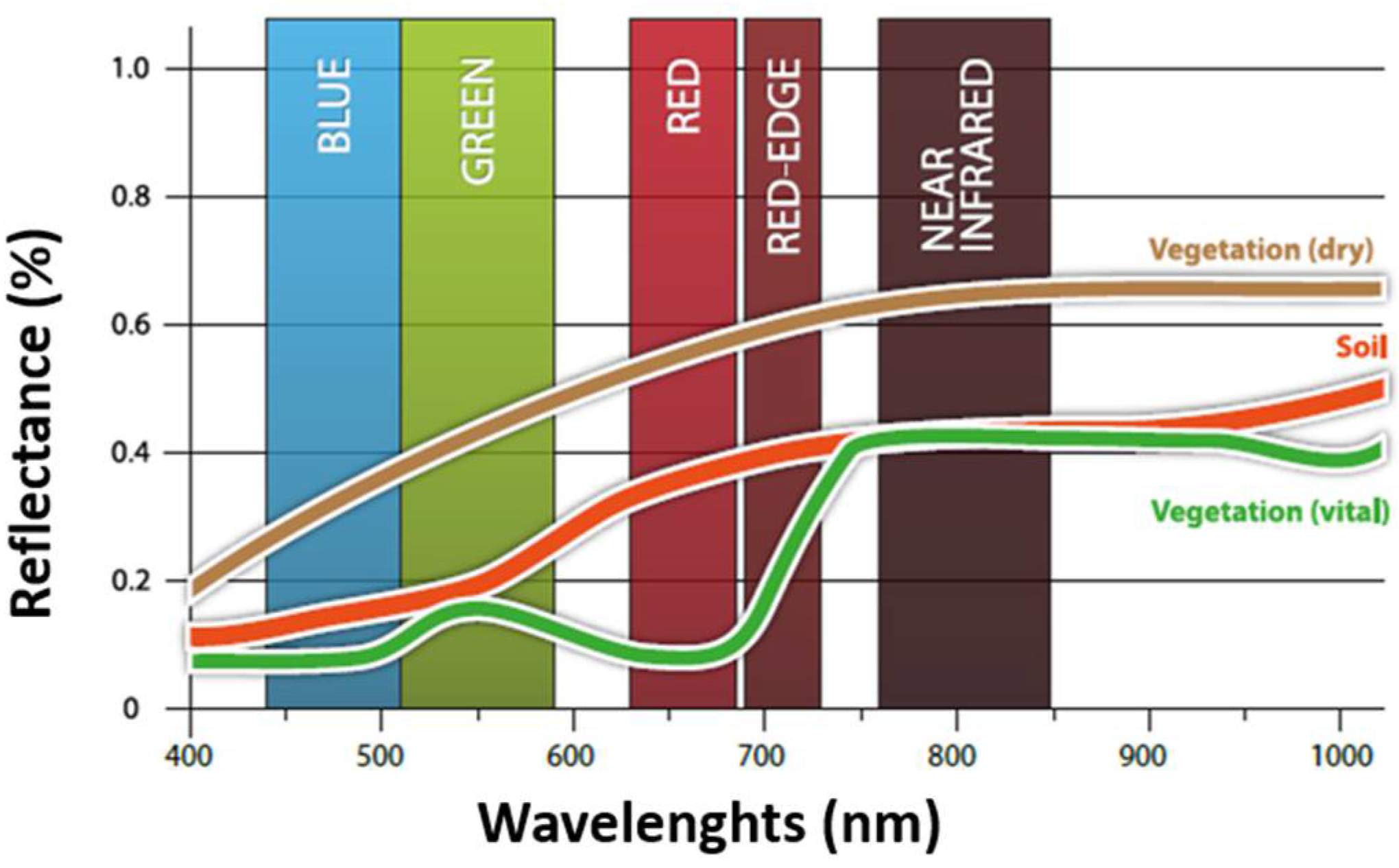Agronomy 12 00597 g006 550