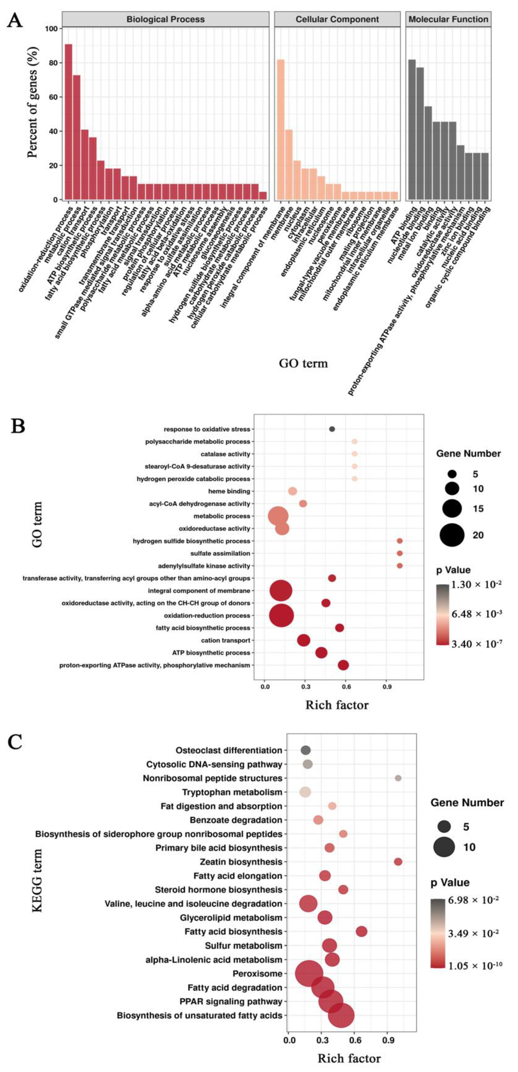 Agronomy 12 00599 g006 Agronomy 12 00599 g006
