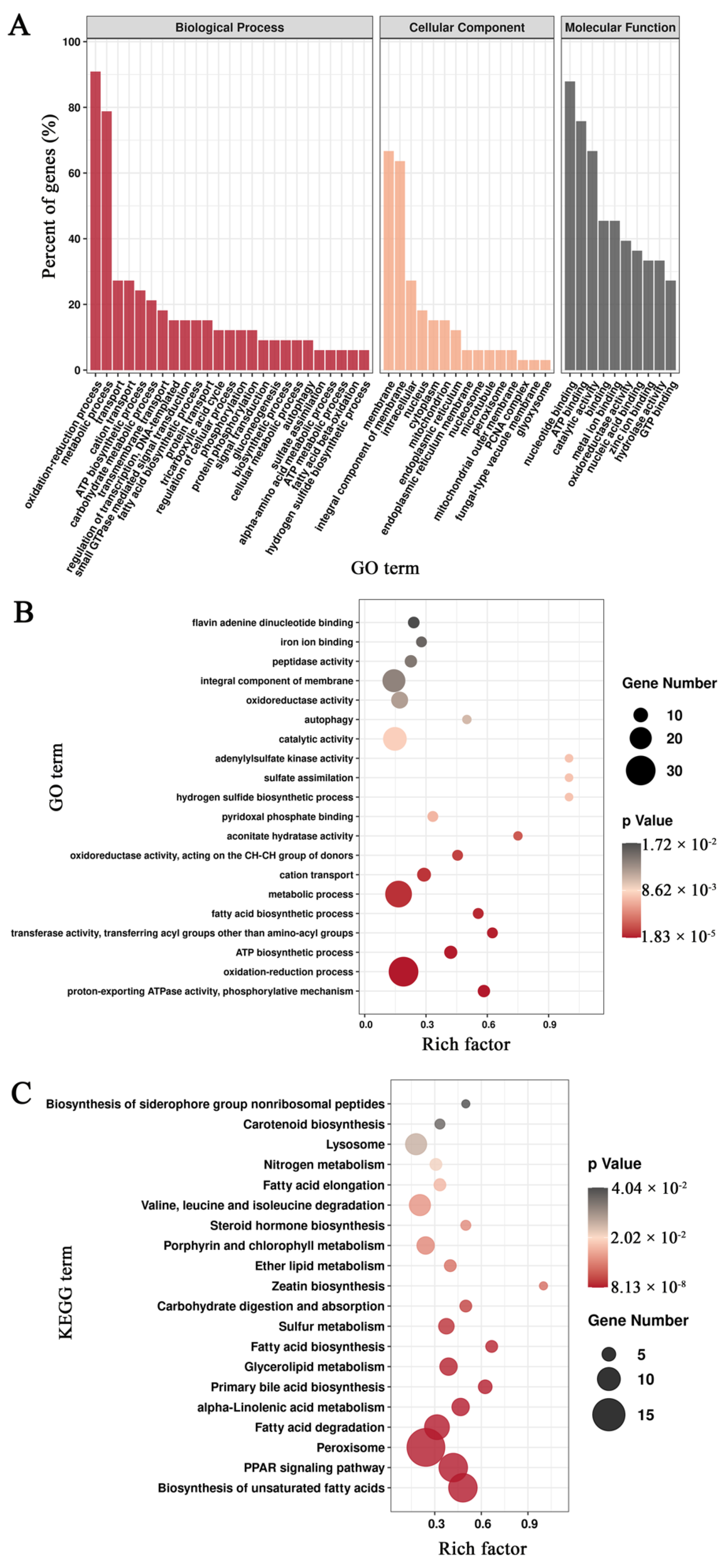 Agronomy 12 00599 g008 Agronomy 12 00599 g008