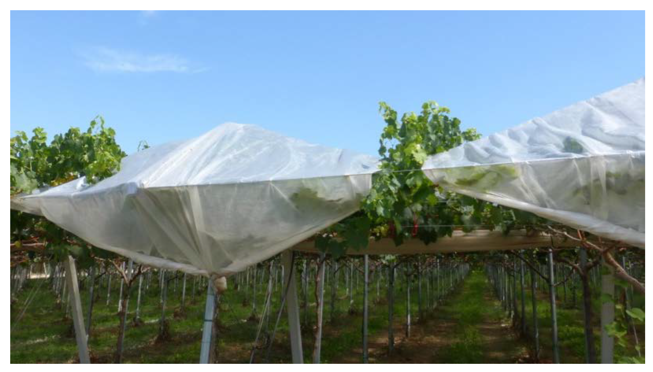 Agronomy 12 00600 g003