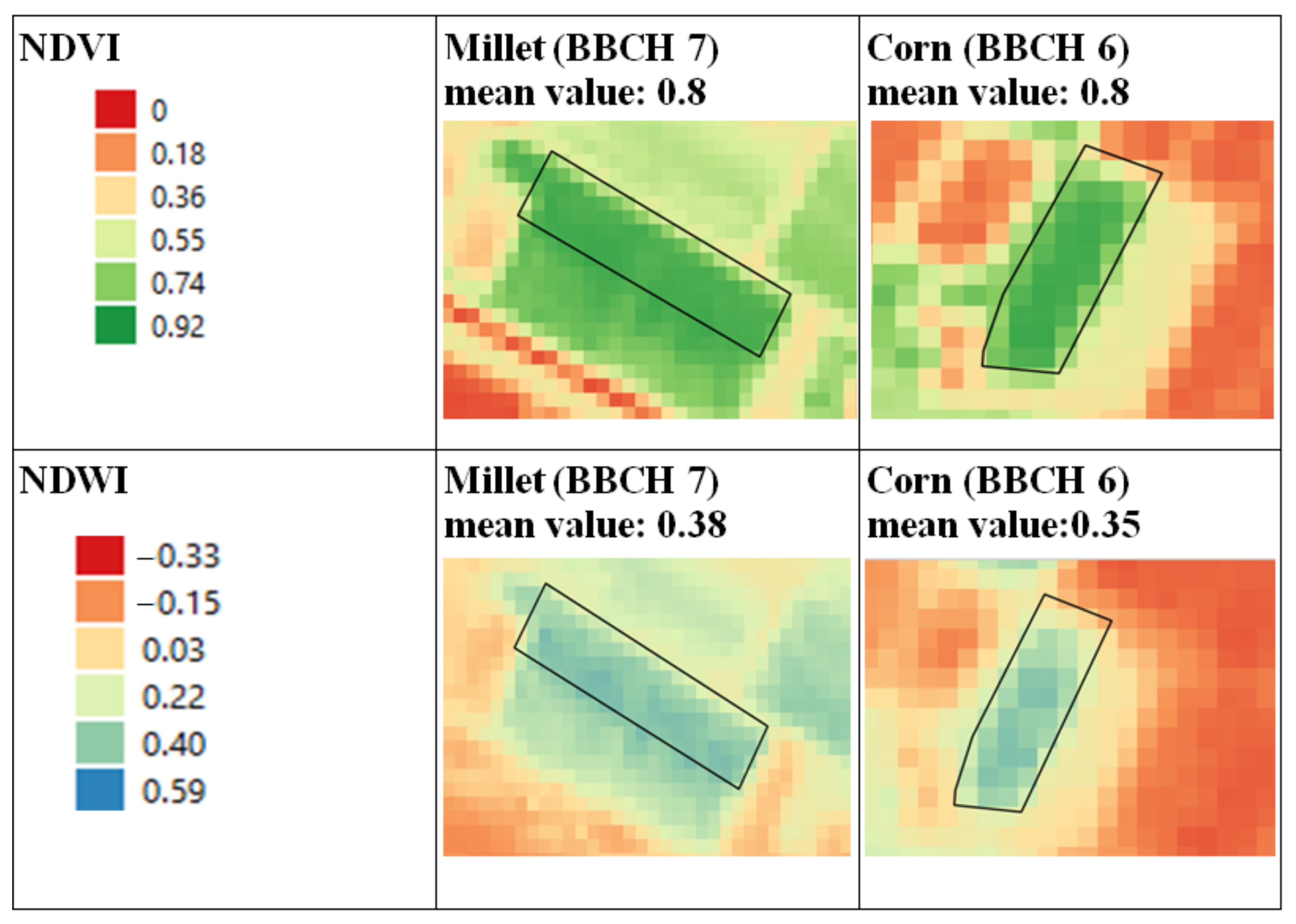 Agronomy 12 00609 g004