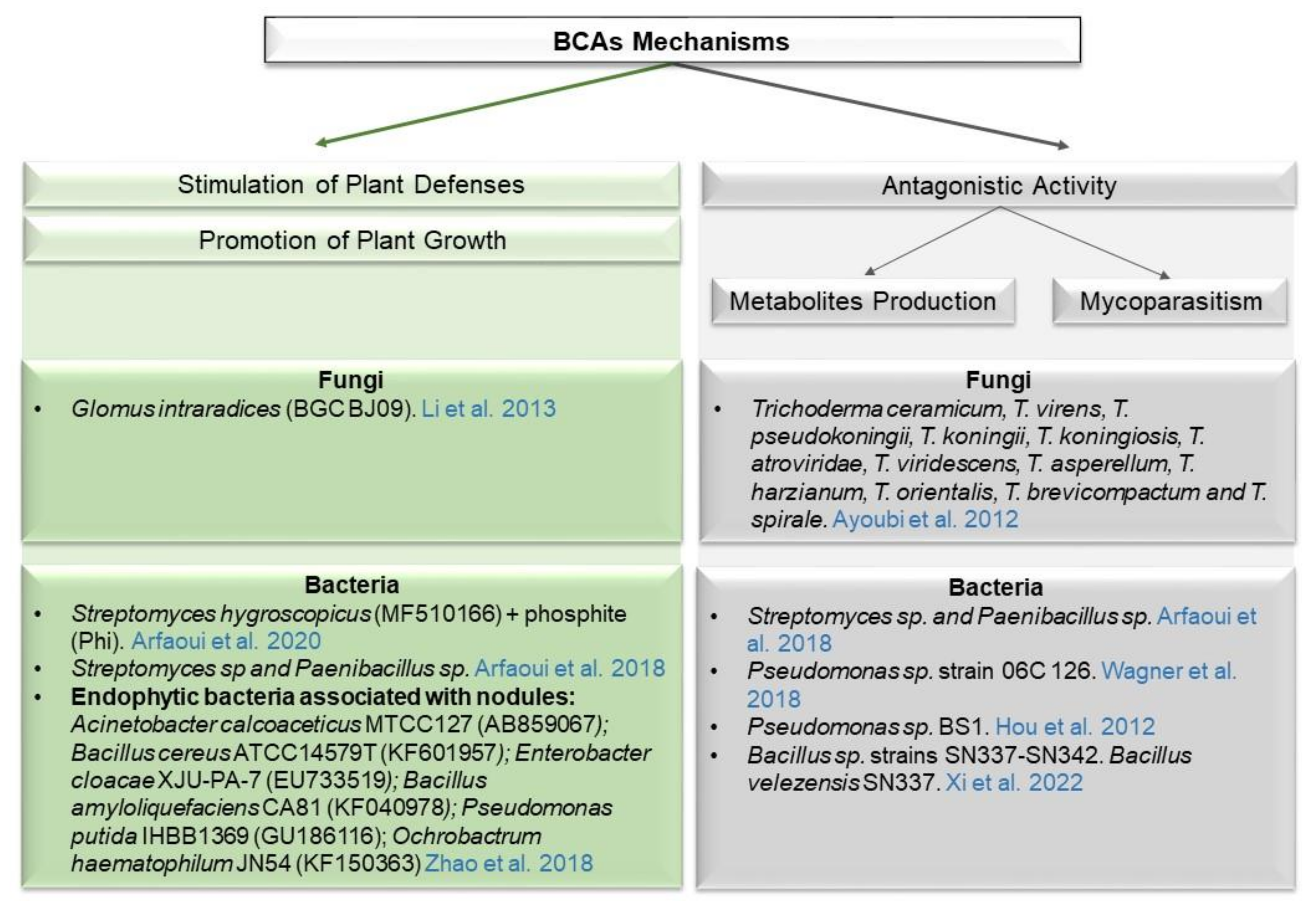 Agronomy 12 00610 g002 Agronomy 12 00610 g002