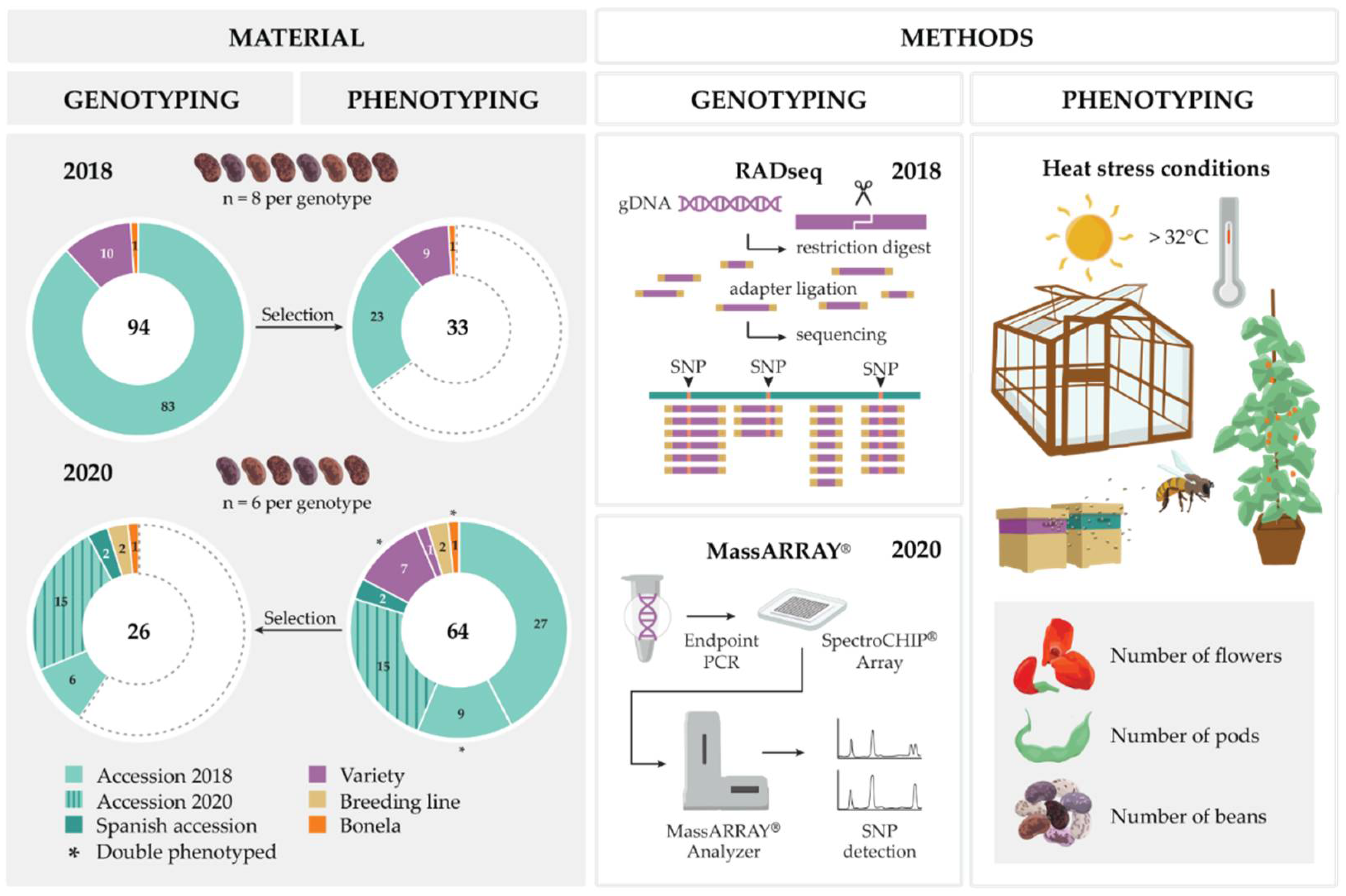 Agronomy 12 00612 g001