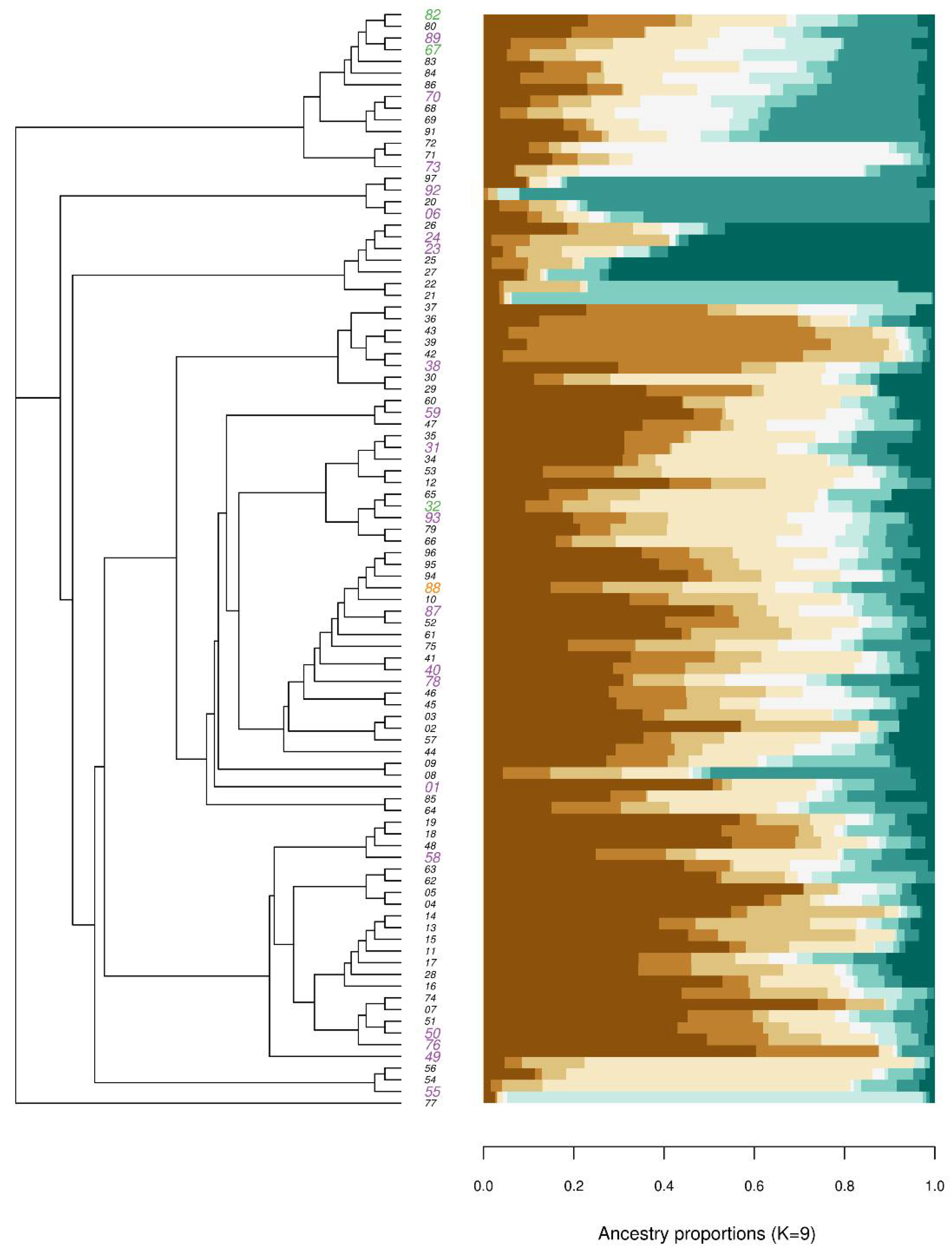 Agronomy 12 00612 g004