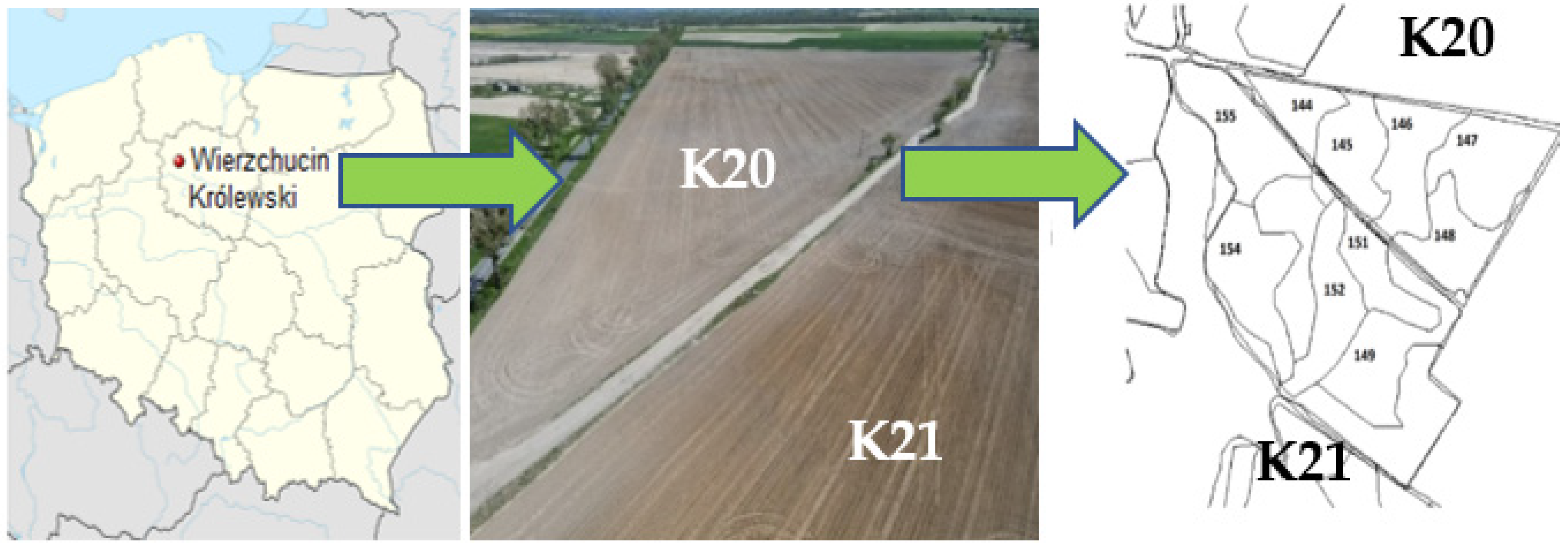 Agronomy 12 00613 g001 550