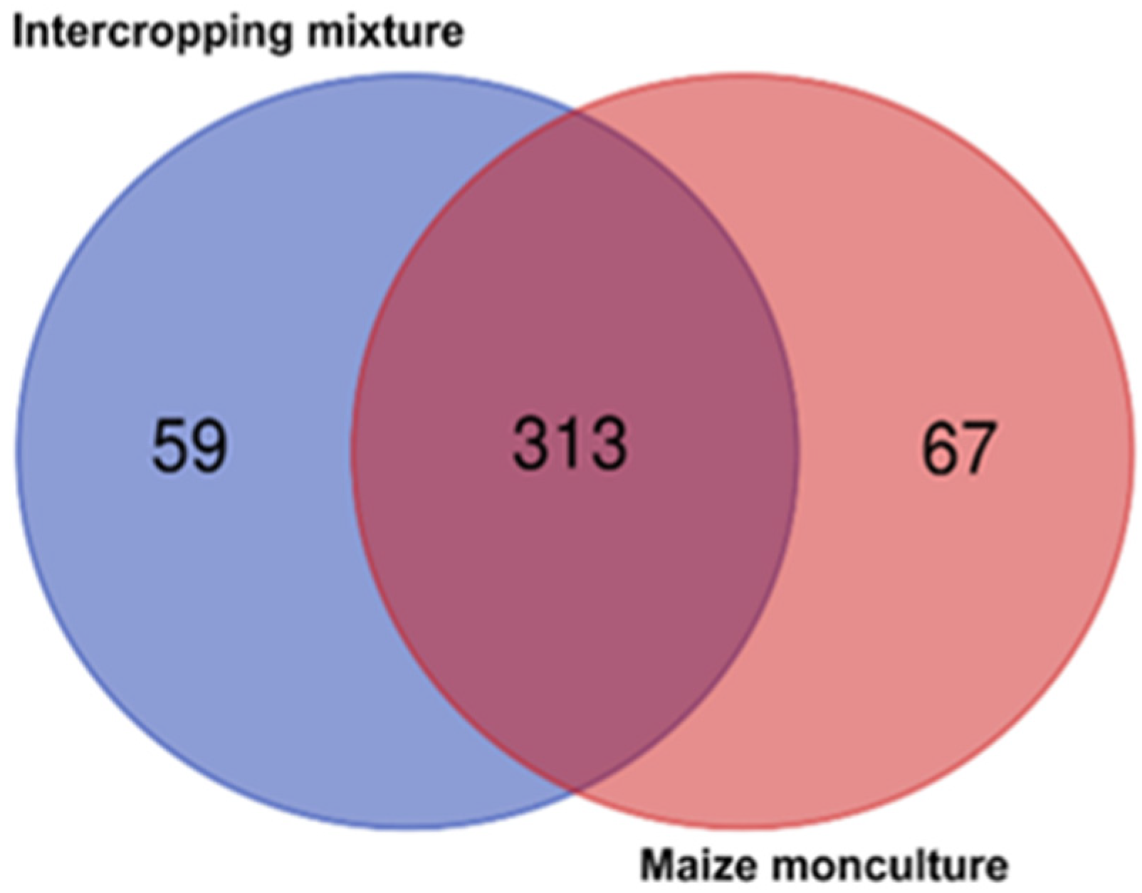 Agronomy 12 00613 g010 550