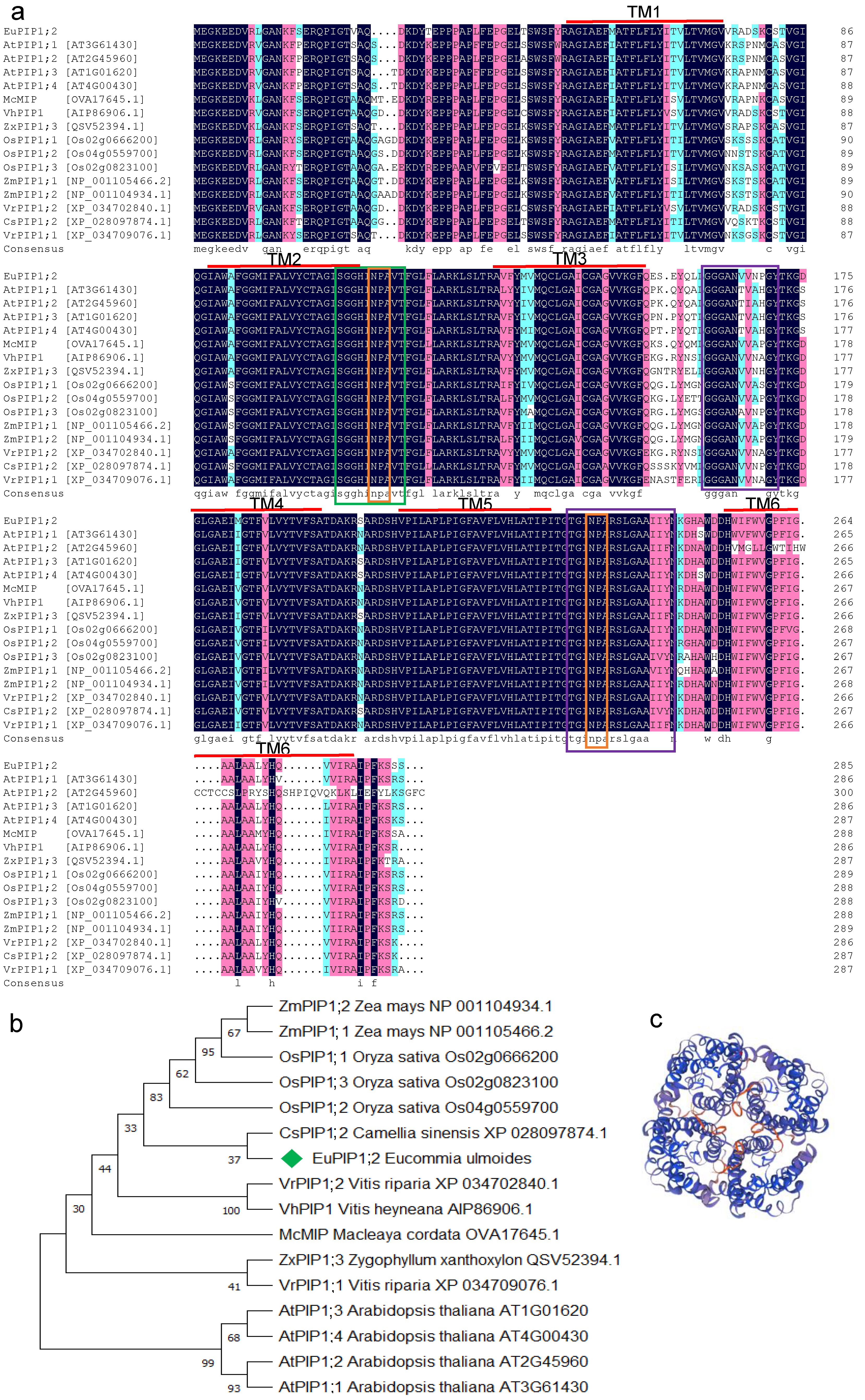 Agronomy 12 00615 g002