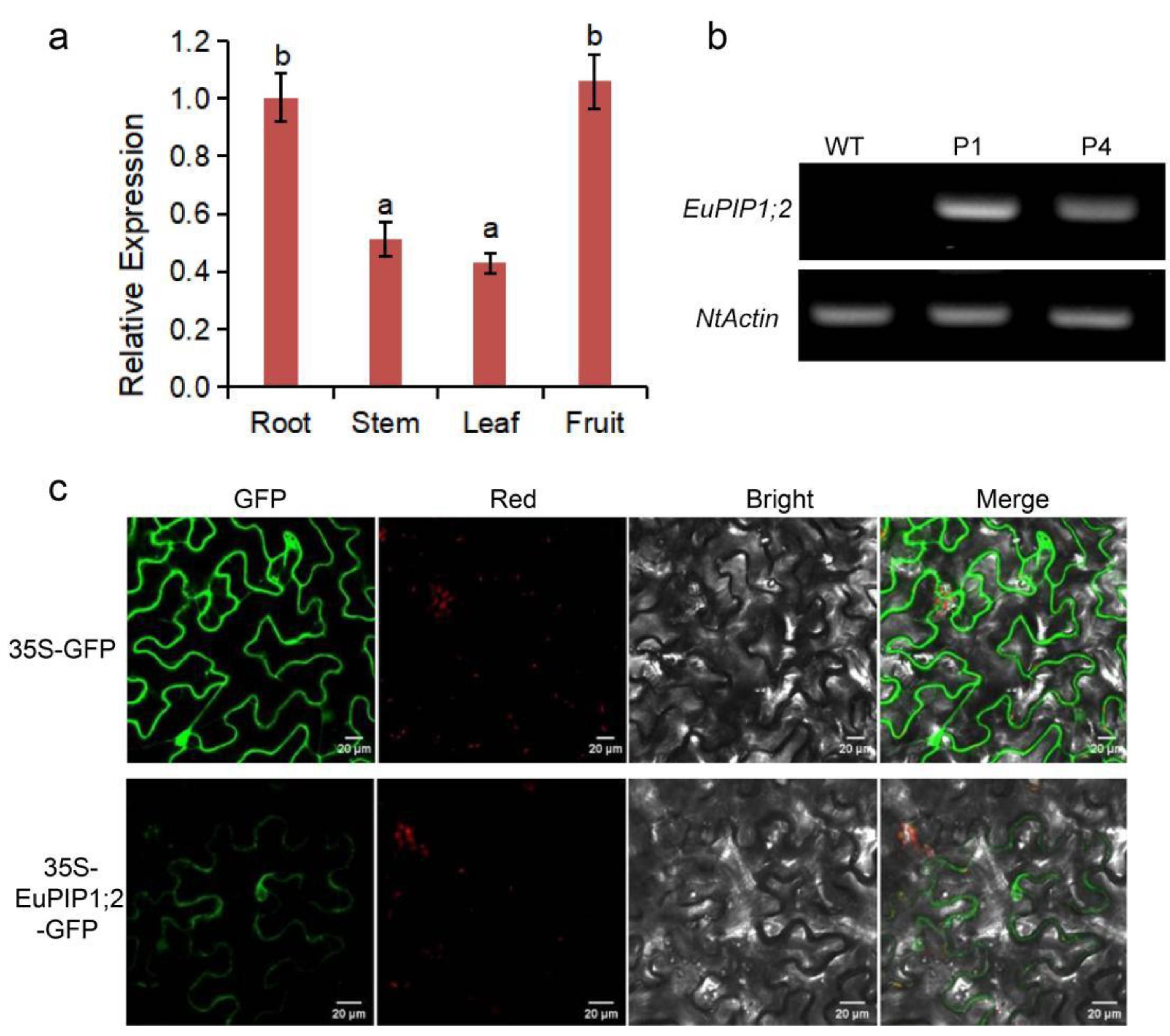Agronomy 12 00615 g003