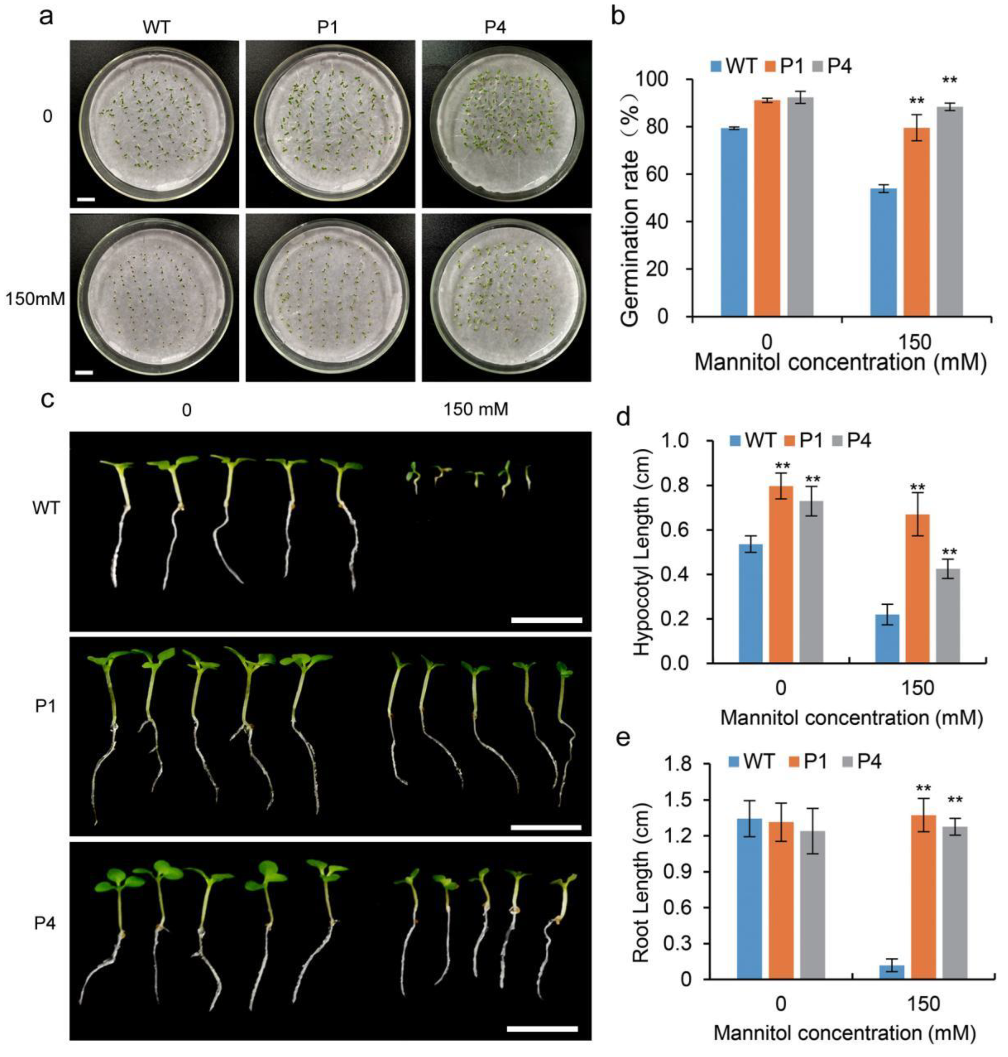 Agronomy 12 00615 g004