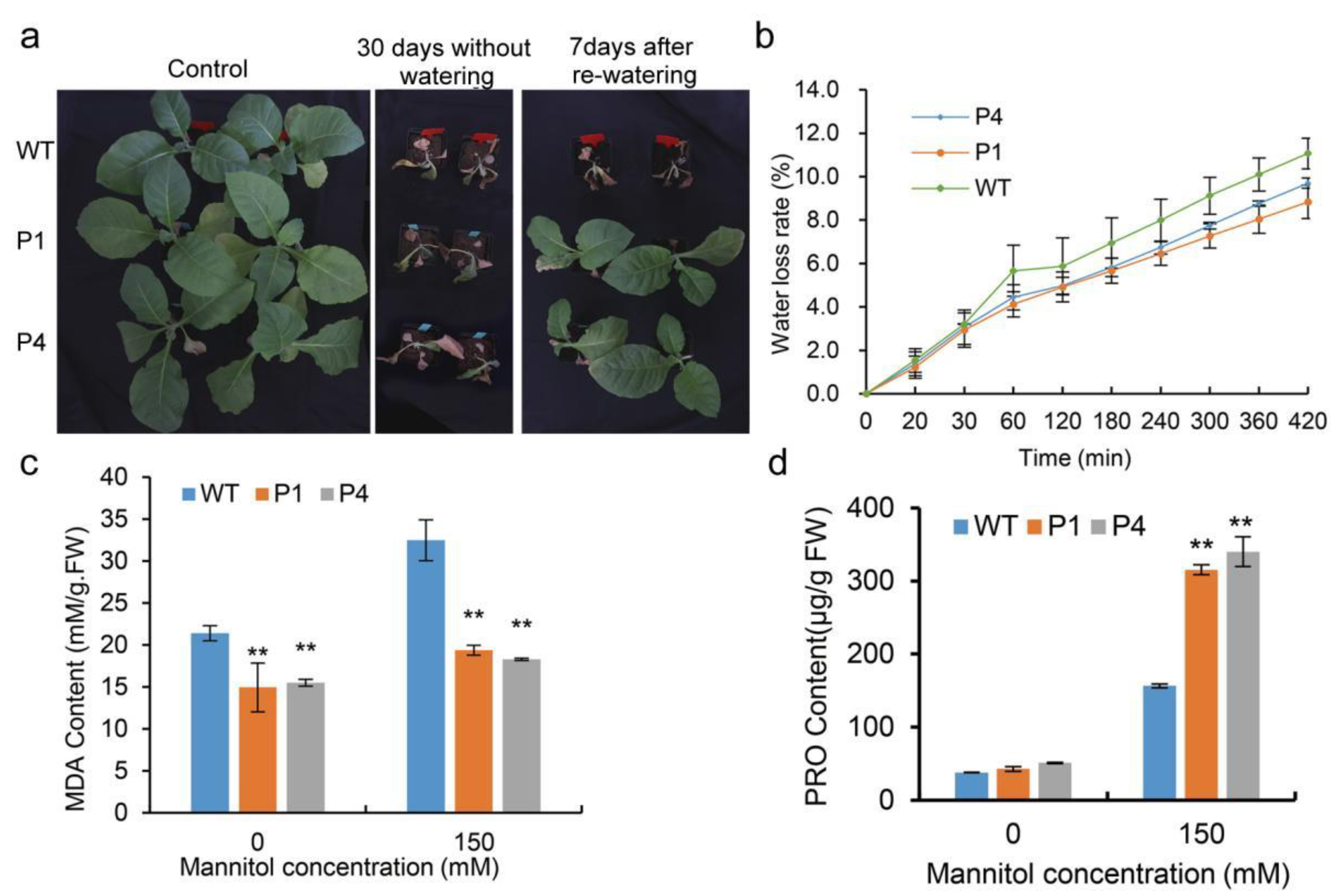 Agronomy 12 00615 g005