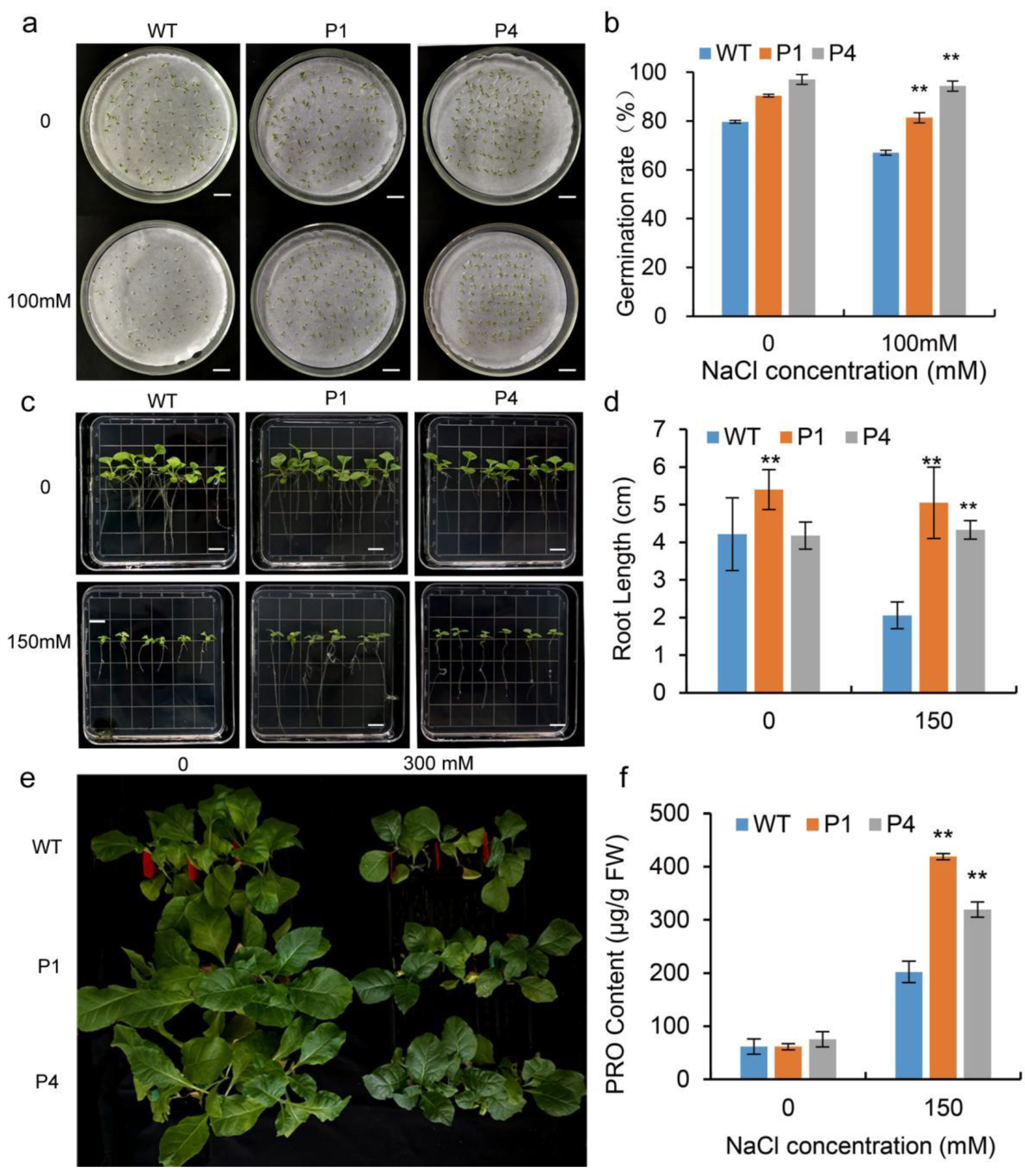 Agronomy 12 00615 g006