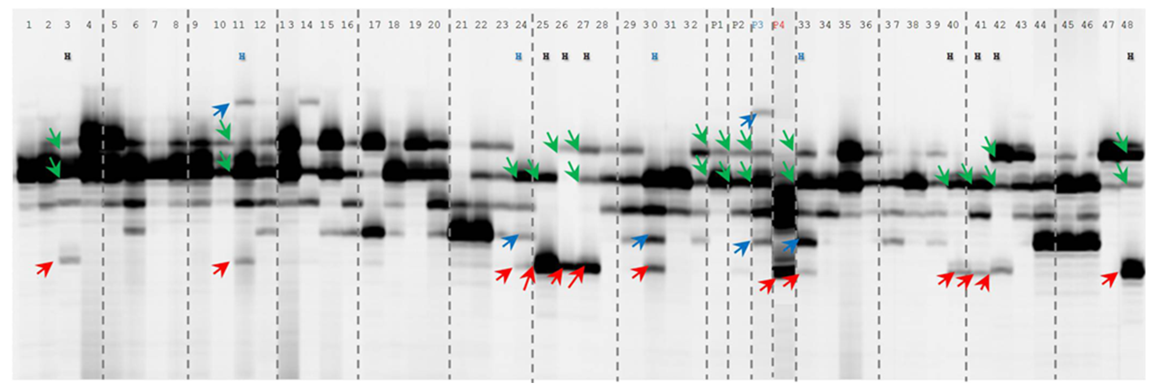 Agronomy 12 00621 g003 Agronomy 12 00621 g003