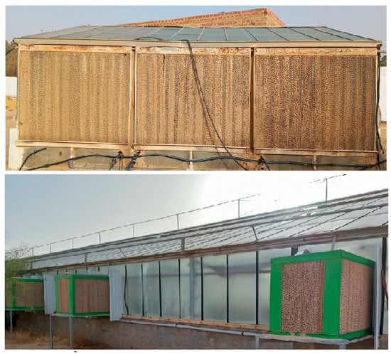 Greenhouse Sun Shade Net Cooling Pad / Wet Pad / Water Curtain for  Vegetables/Flowers - China Cooling Pad, Wet Pad