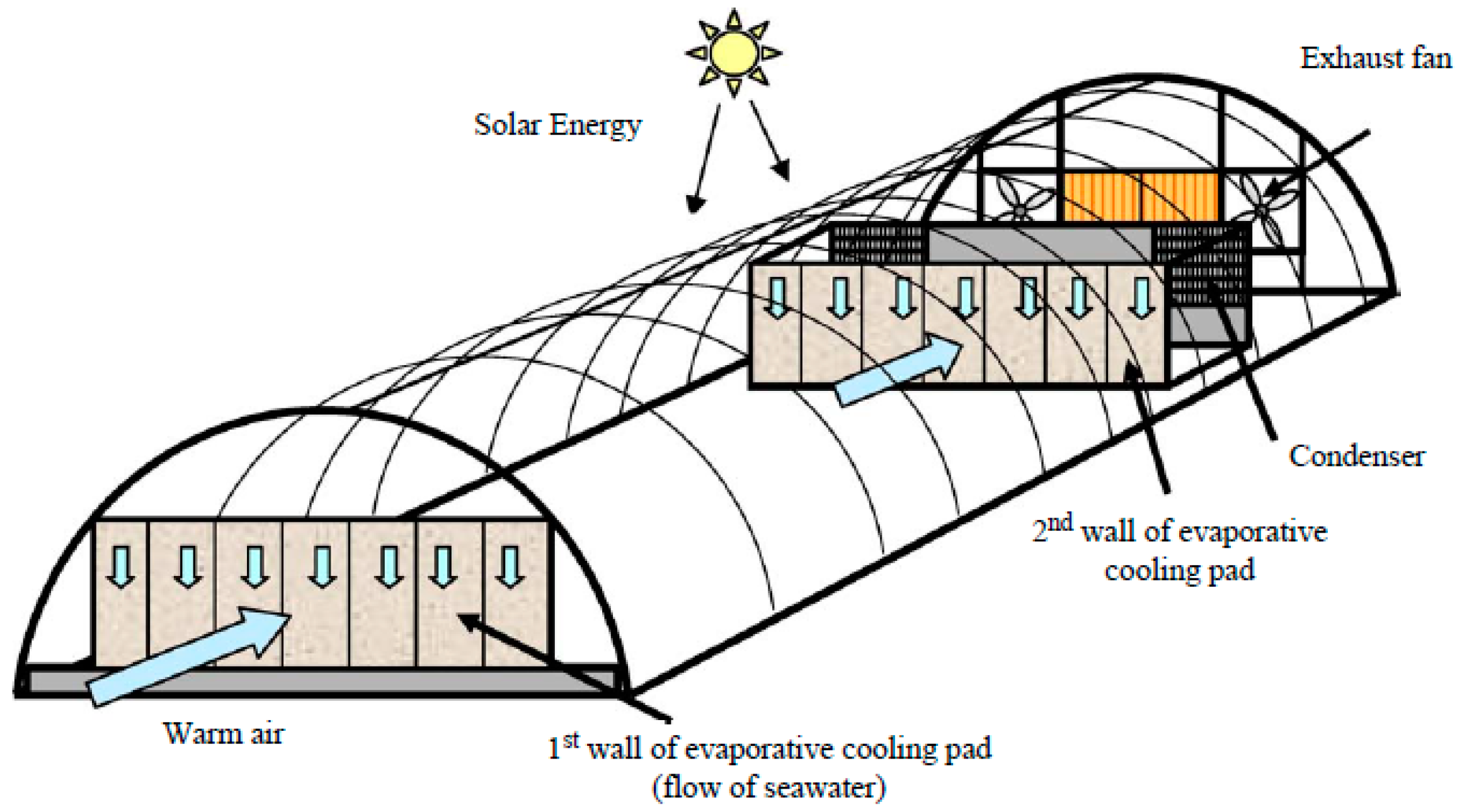 Agronomy 12 00626 g009 Agronomy 12 00626 g009