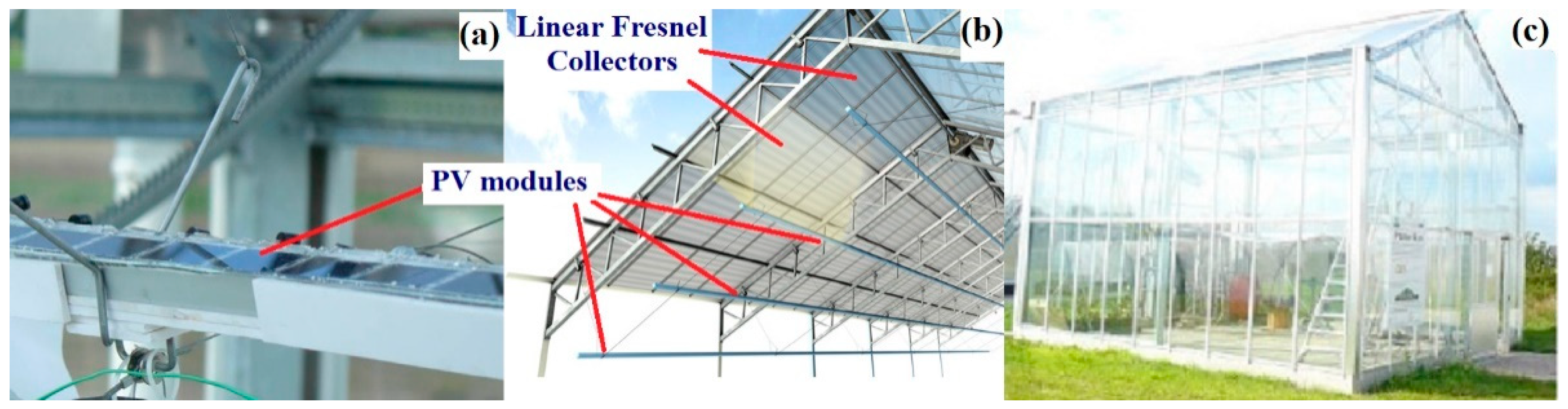 Agronomy 12 00626 g010 Agronomy 12 00626 g010