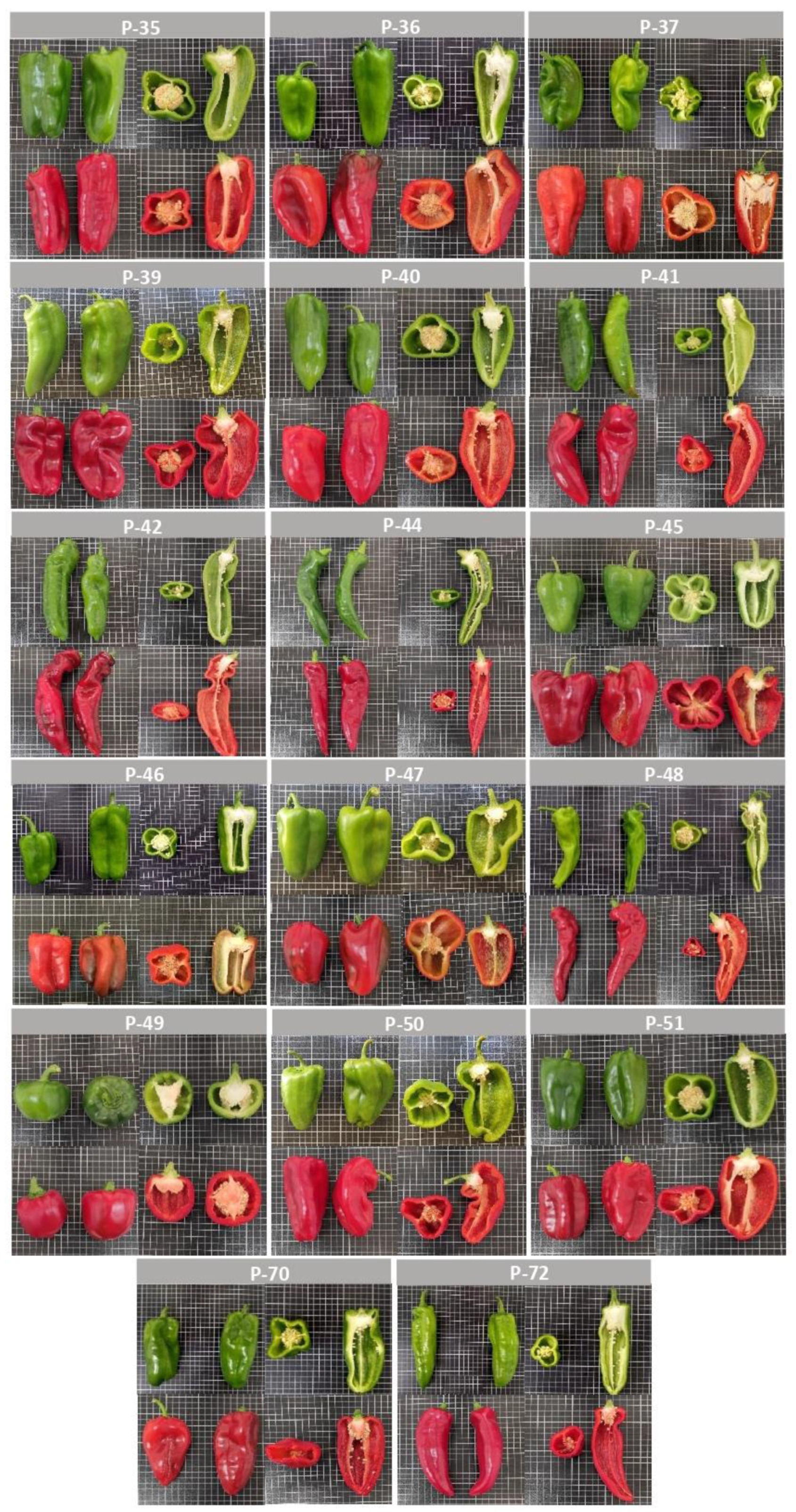 Agronomy 12 00632 g001 Agronomy 12 00632 g001