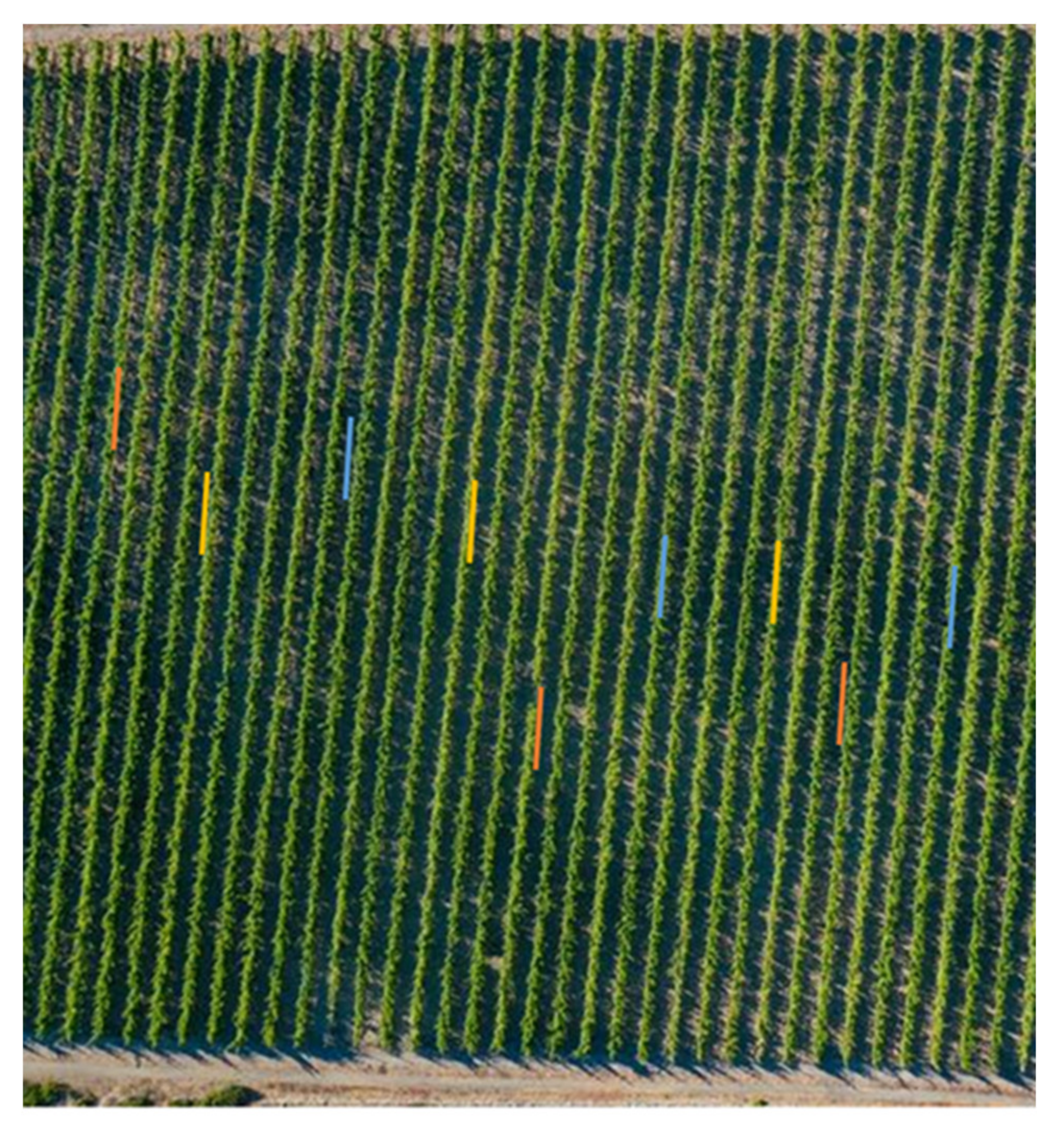 Agronomy 12 00634 g001 550