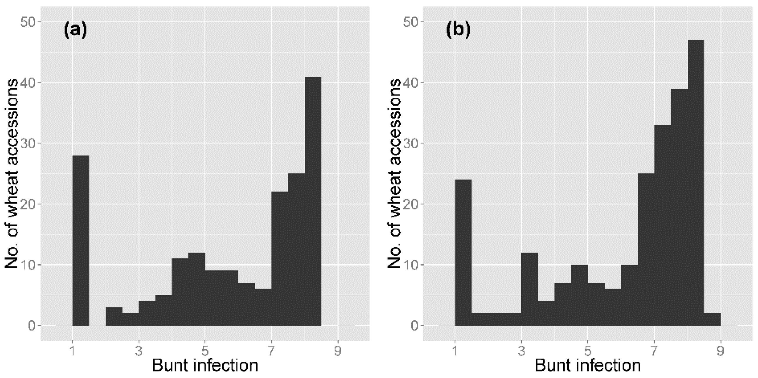 Agronomy 12 00642 g001 Agronomy 12 00642 g001