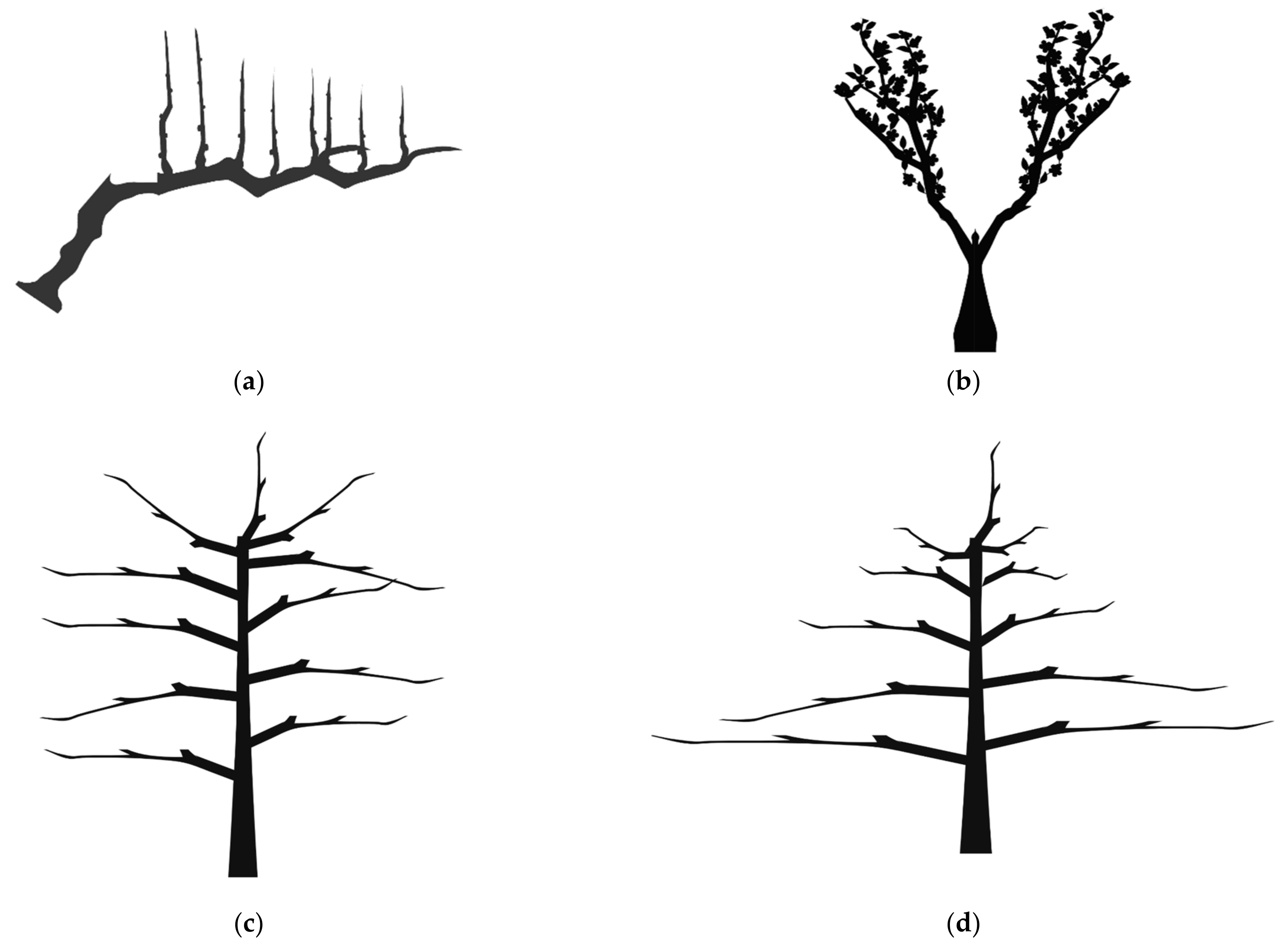 Agronomy 12 00643 g0a1a 550