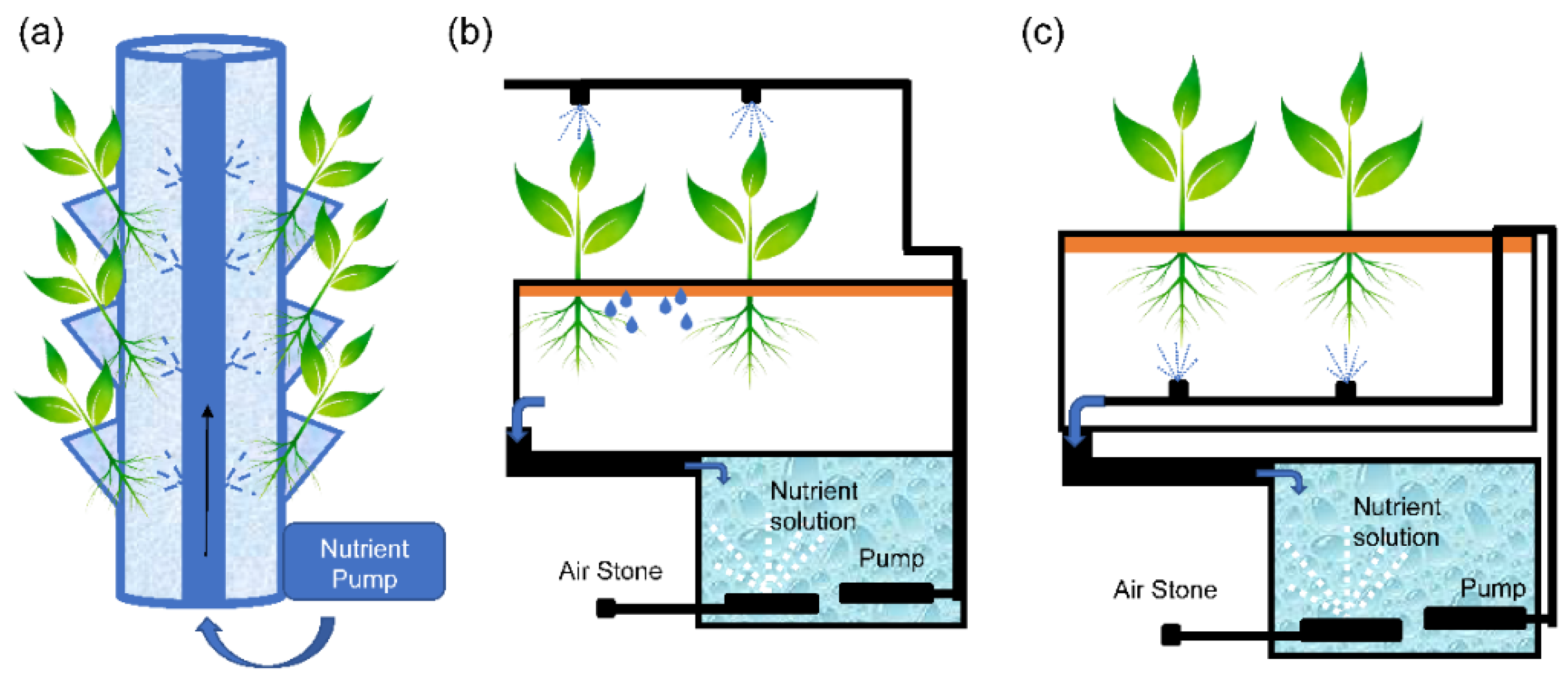 Agronomy 12 00644 g002 Agronomy 12 00644 g002