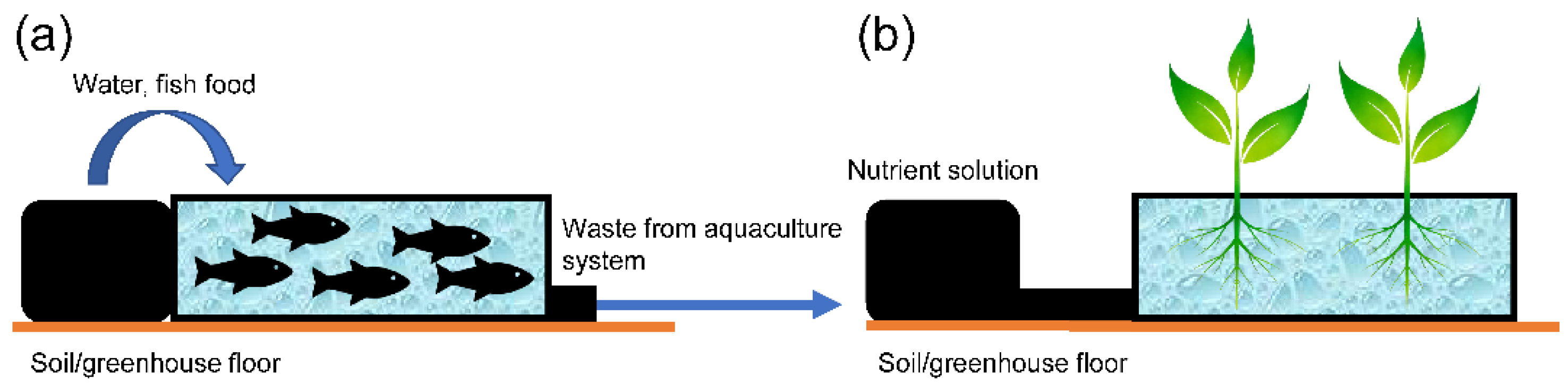 Agronomy 12 00644 g004 Agronomy 12 00644 g004
