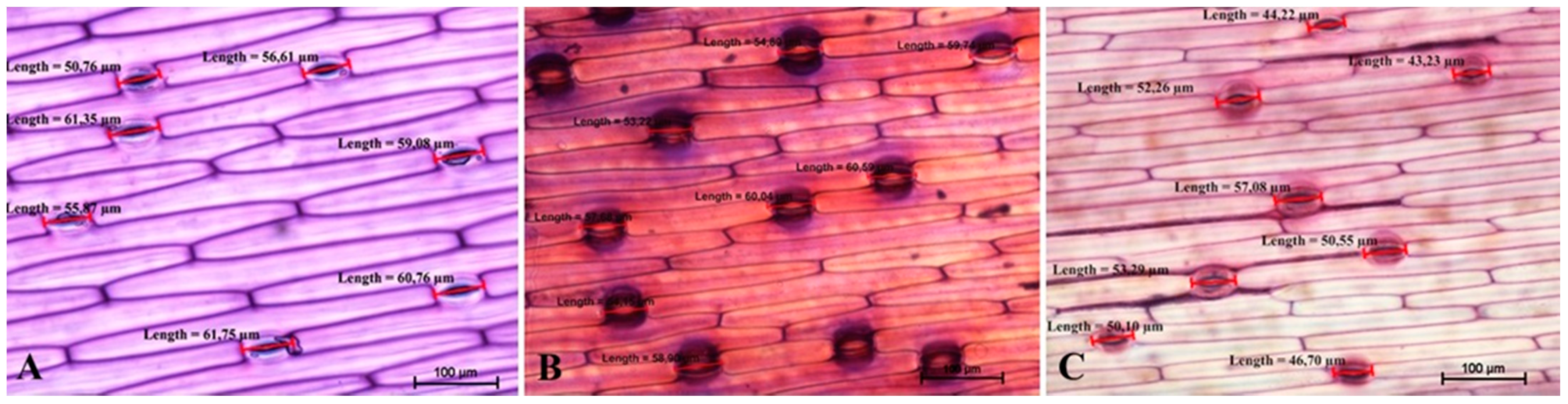 Agronomy 12 00648 g001 Agronomy 12 00648 g001