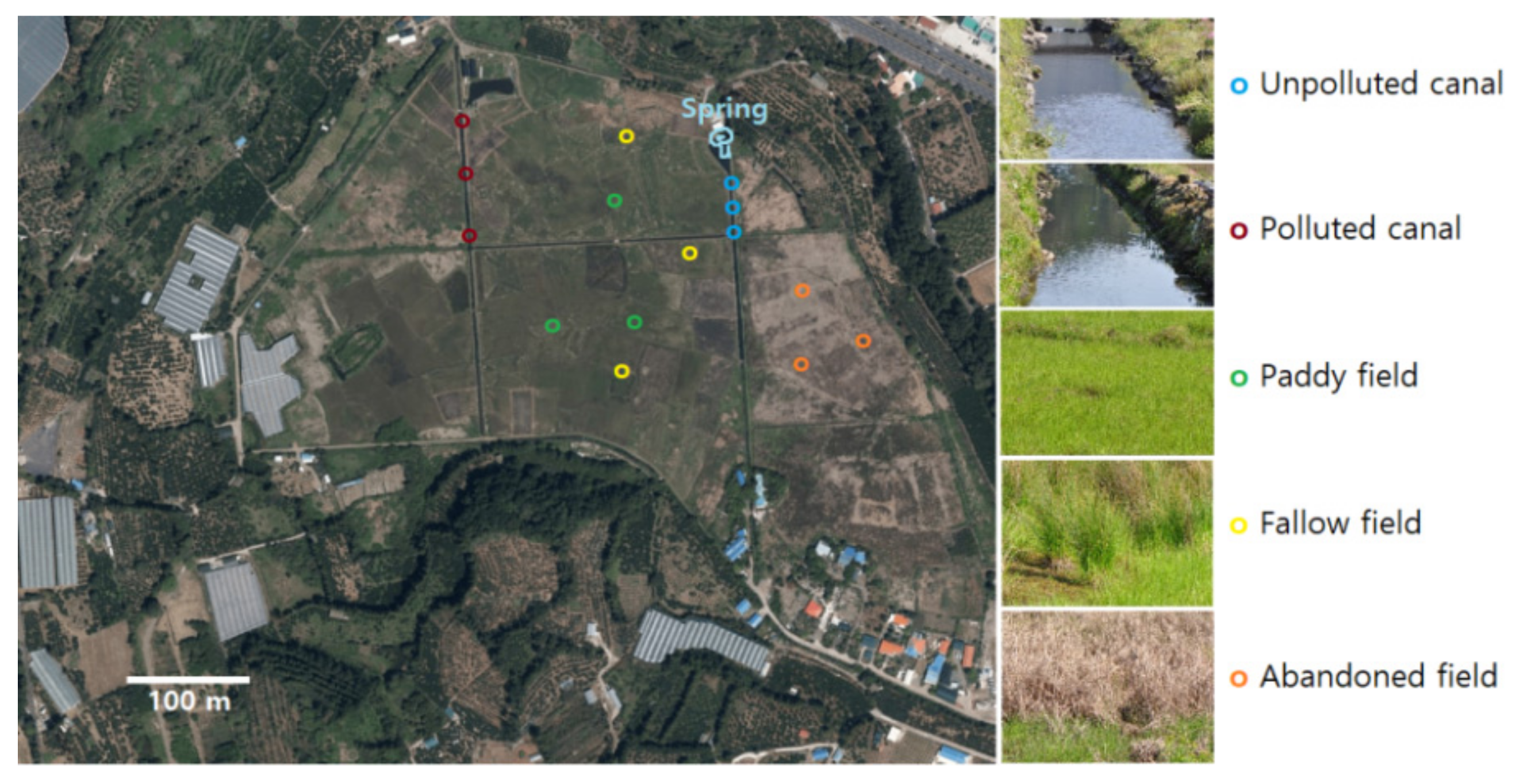 Agronomy 12 00651 g001 Agronomy 12 00651 g001