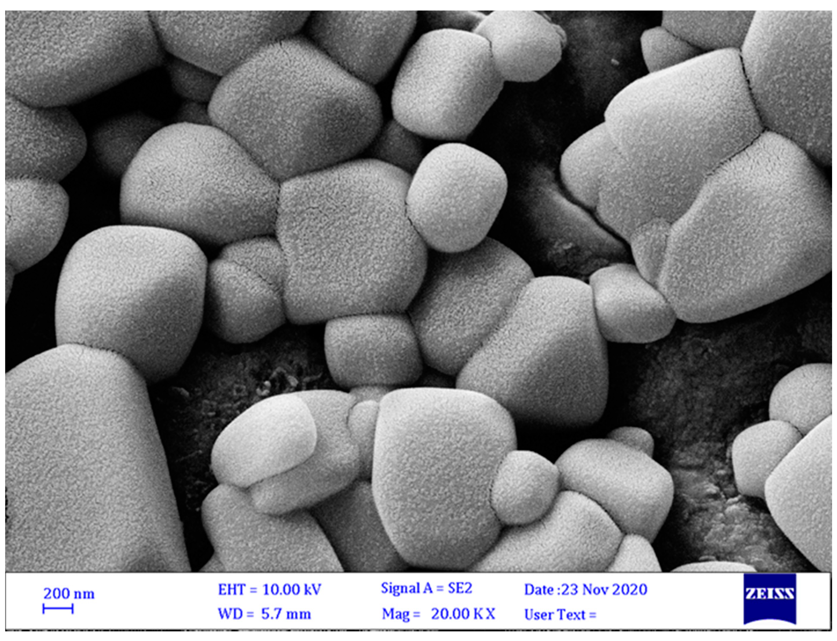 Agronomy 12 00655 g002