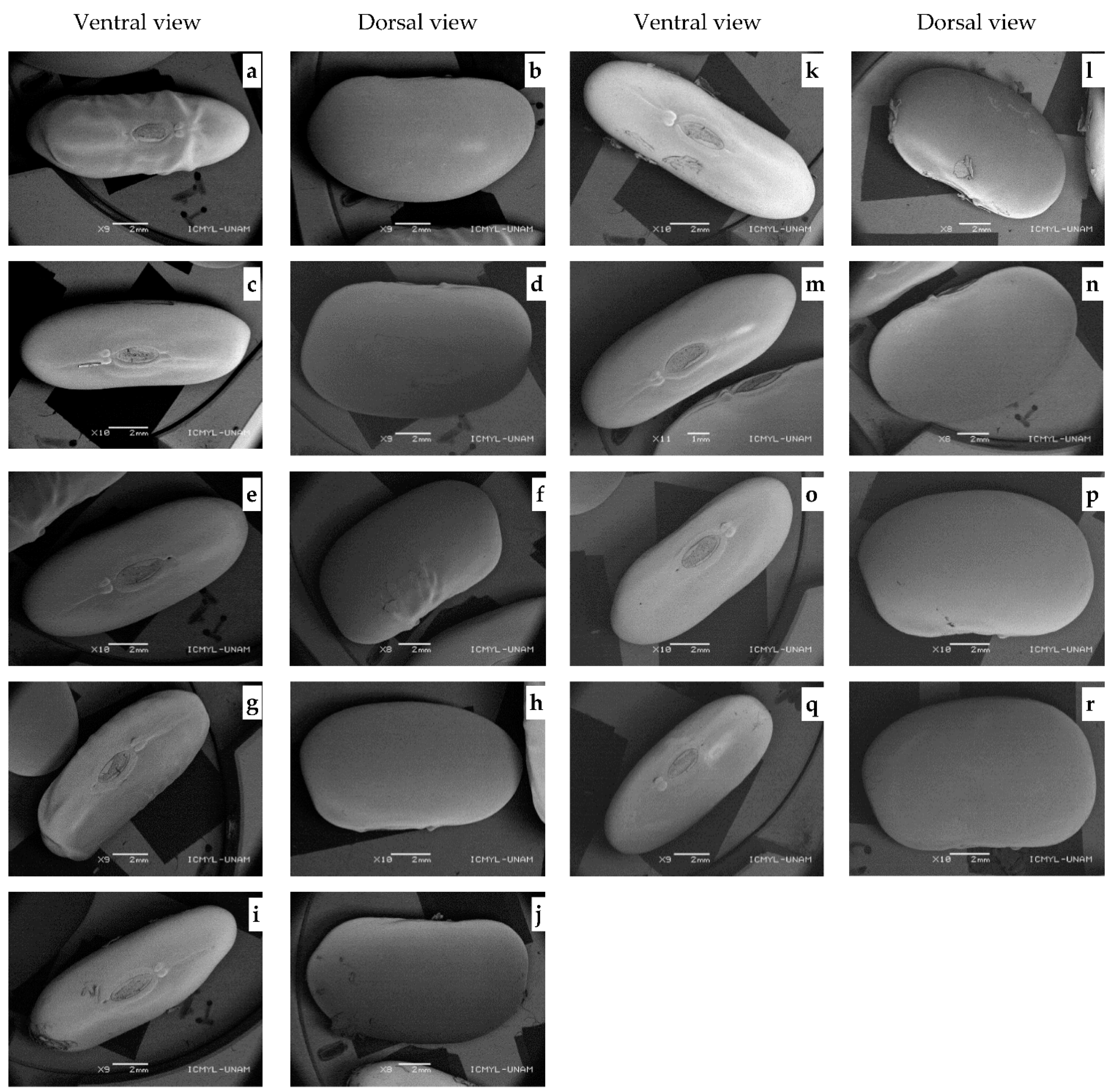 Agronomy 12 00666 g002