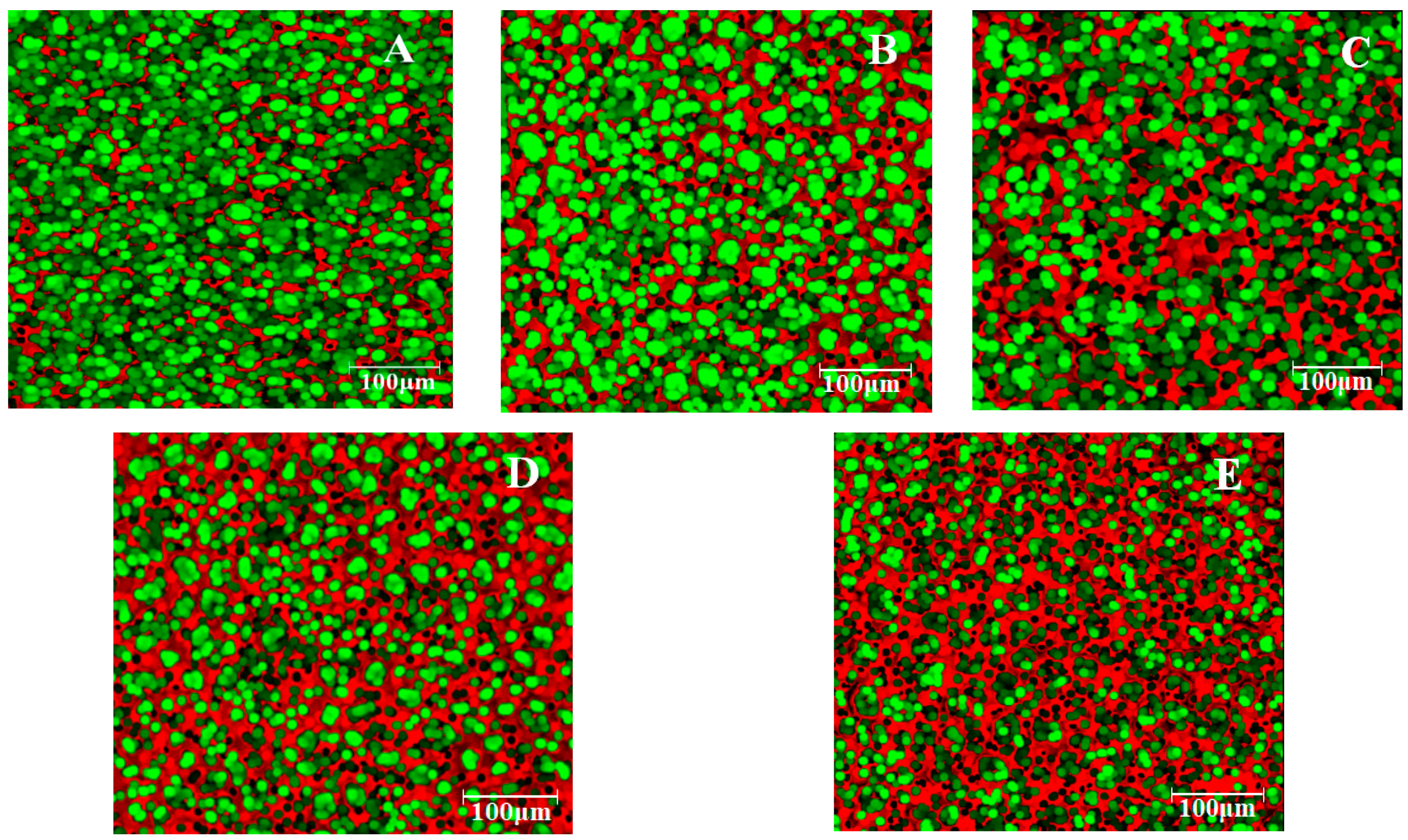 Agronomy 12 00667 g003