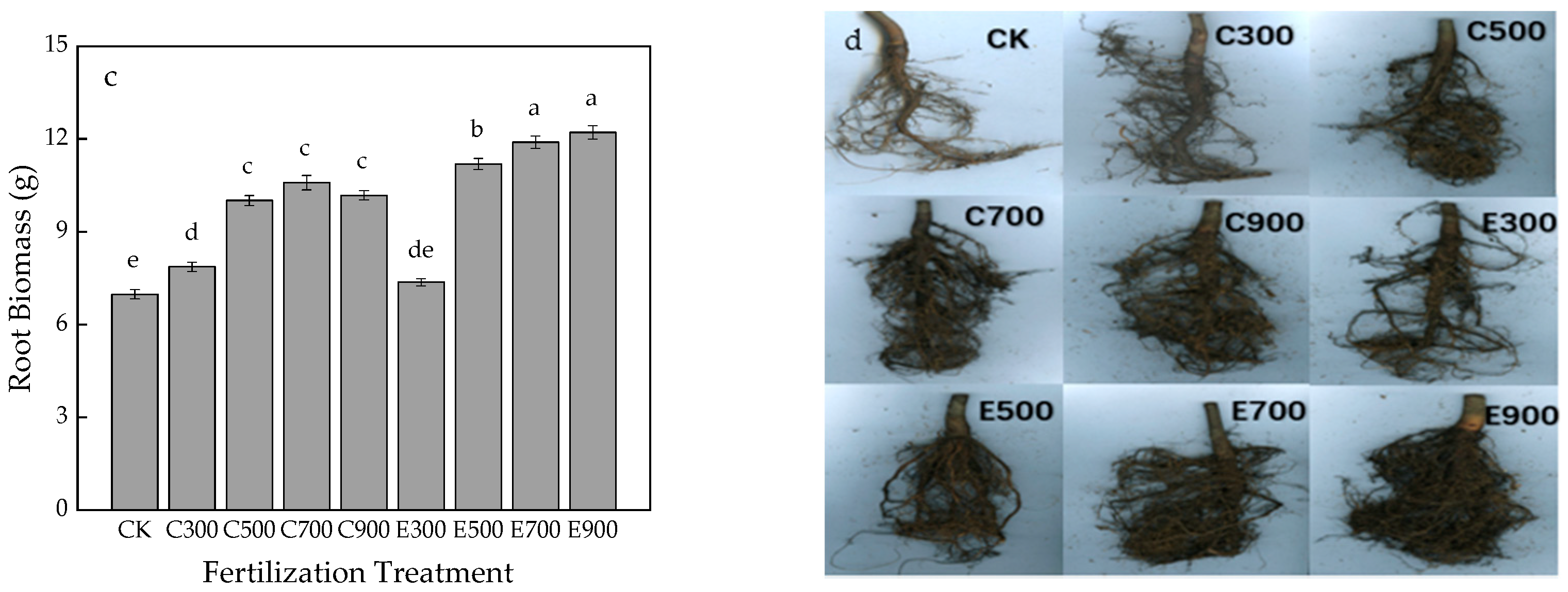 Agronomy 12 00669 g002b 550