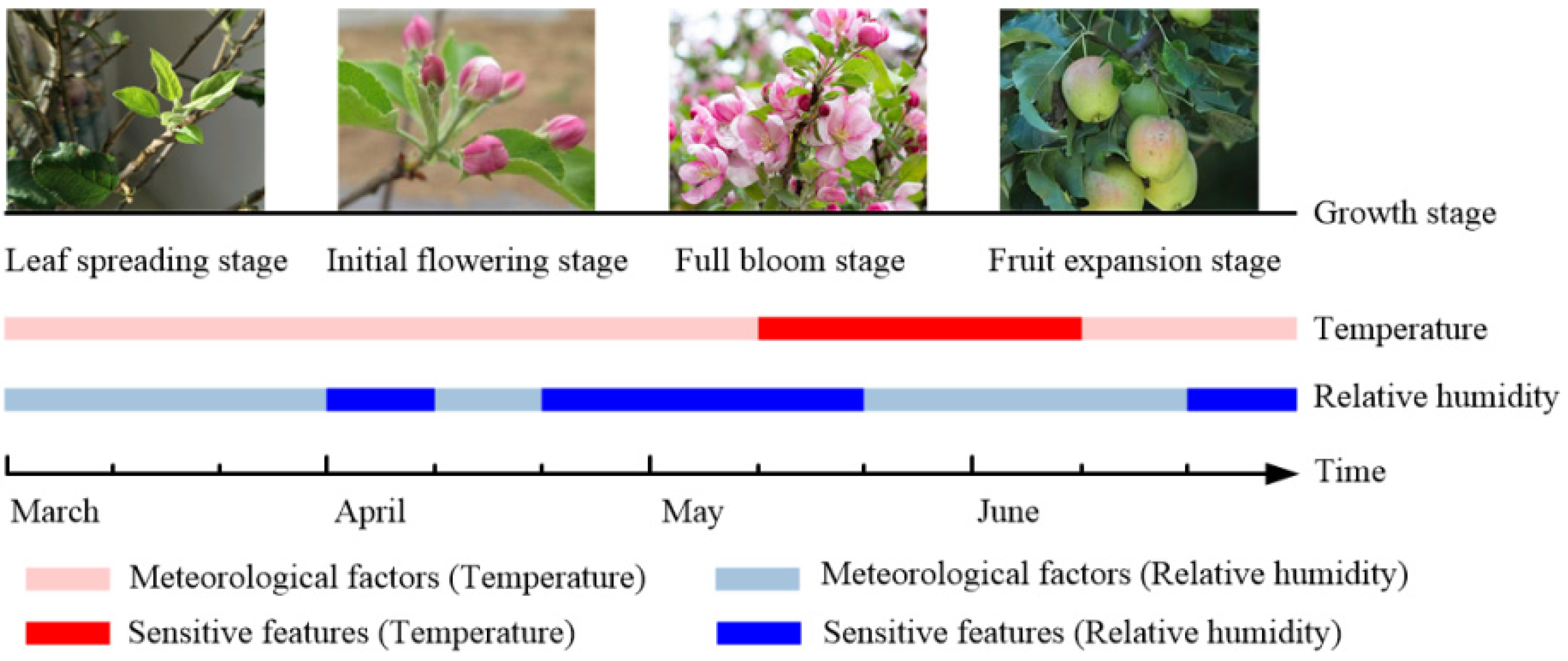 Agronomy 12 00679 g007 550