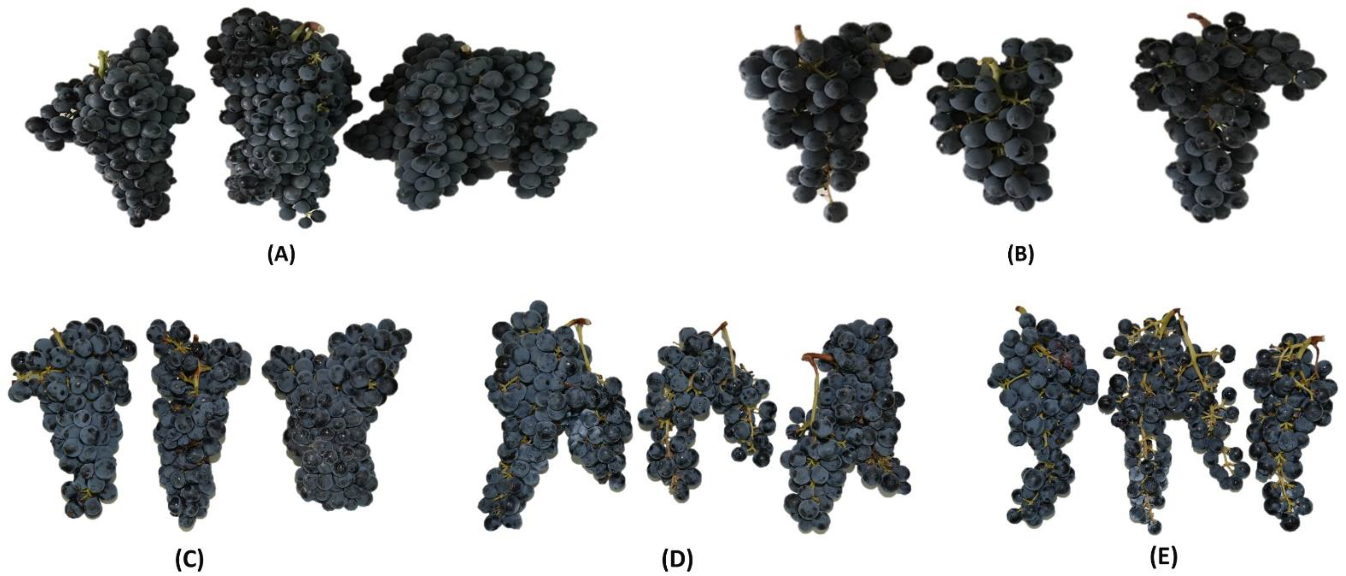 Agronomy 12 00680 g001 550