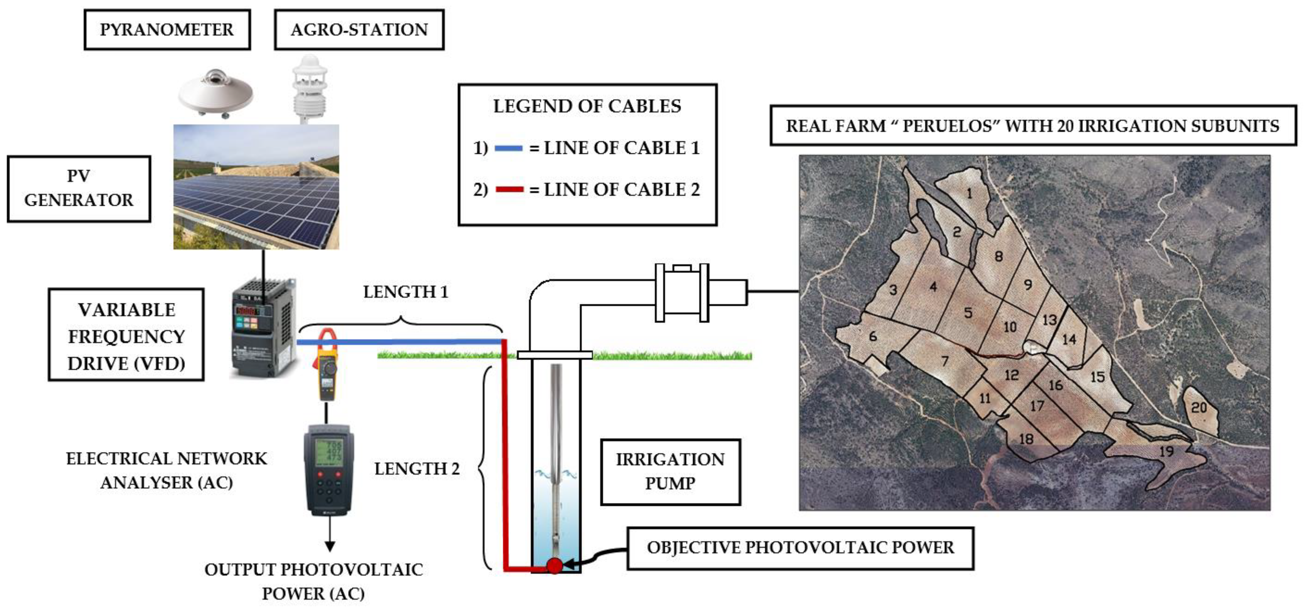 Agronomy 12 00693 g001