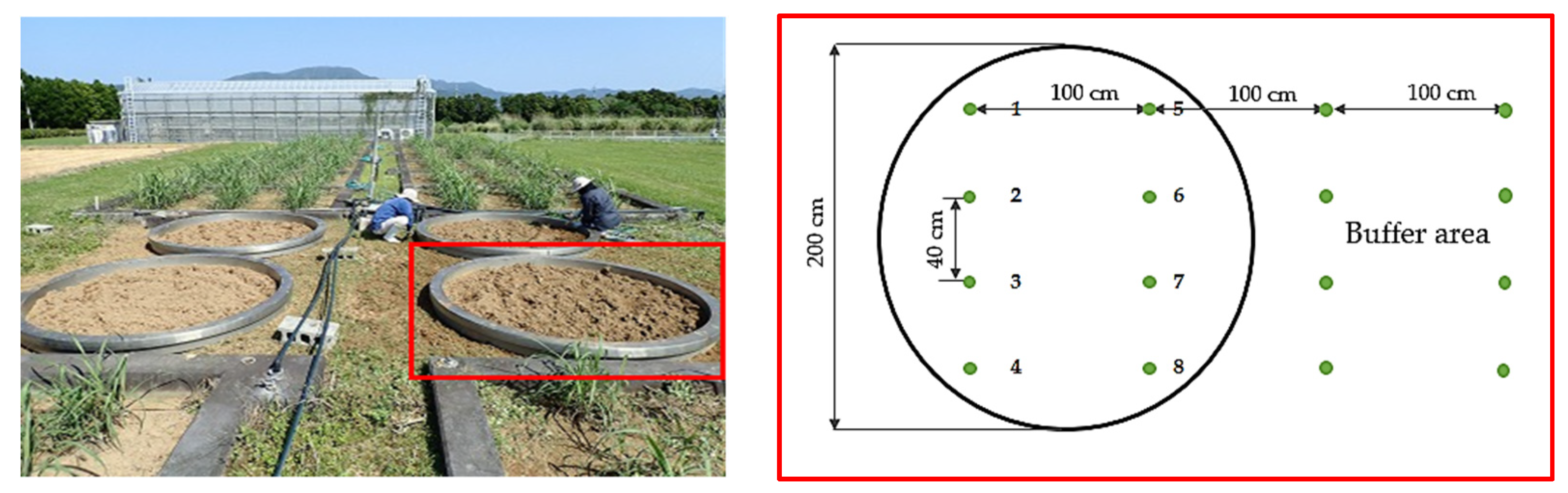 Agronomy 12 00695 g002 Agronomy 12 00695 g002