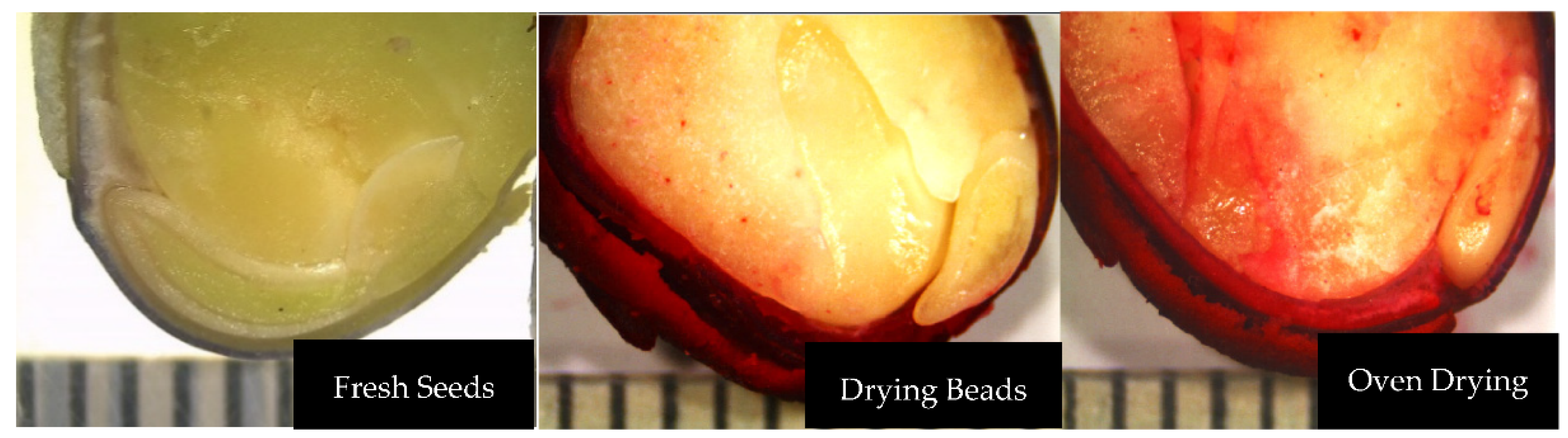 Agronomy 12 00699 g002 Agronomy 12 00699 g002