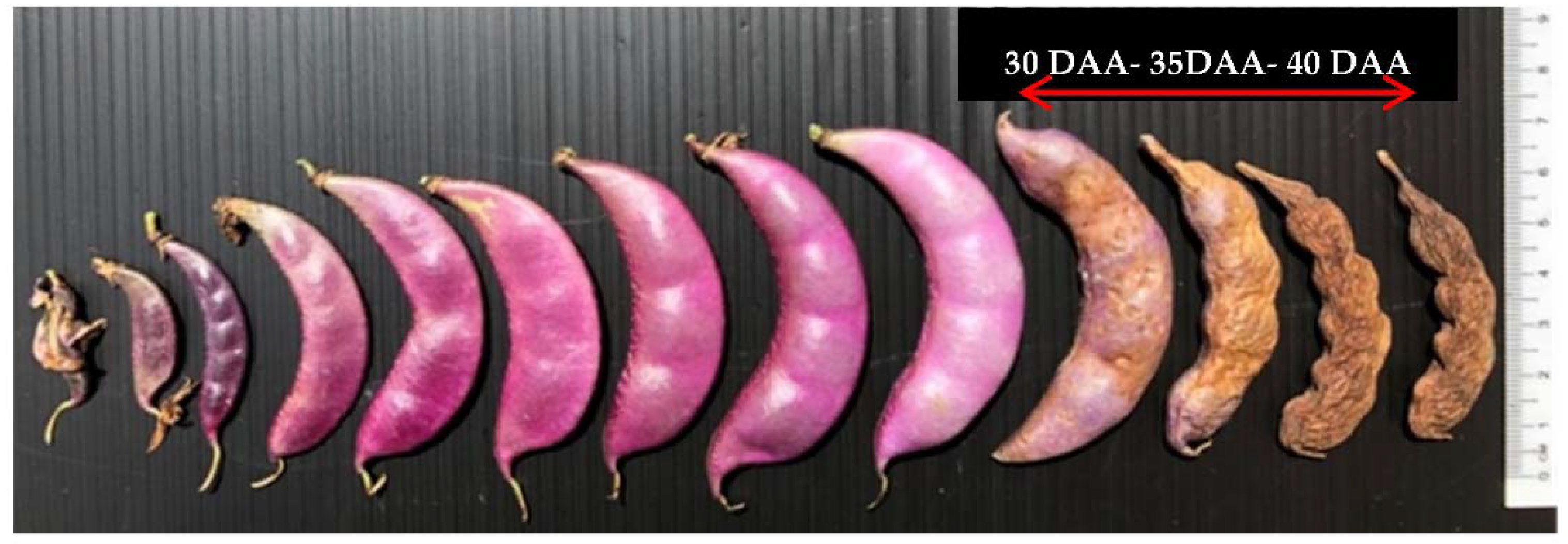 Agronomy 12 00699 g003 Agronomy 12 00699 g003