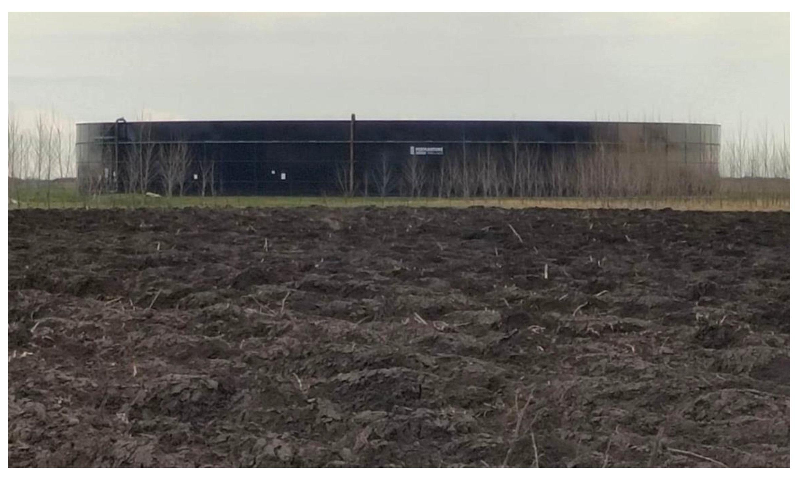 Agronomy 12 00701 g002