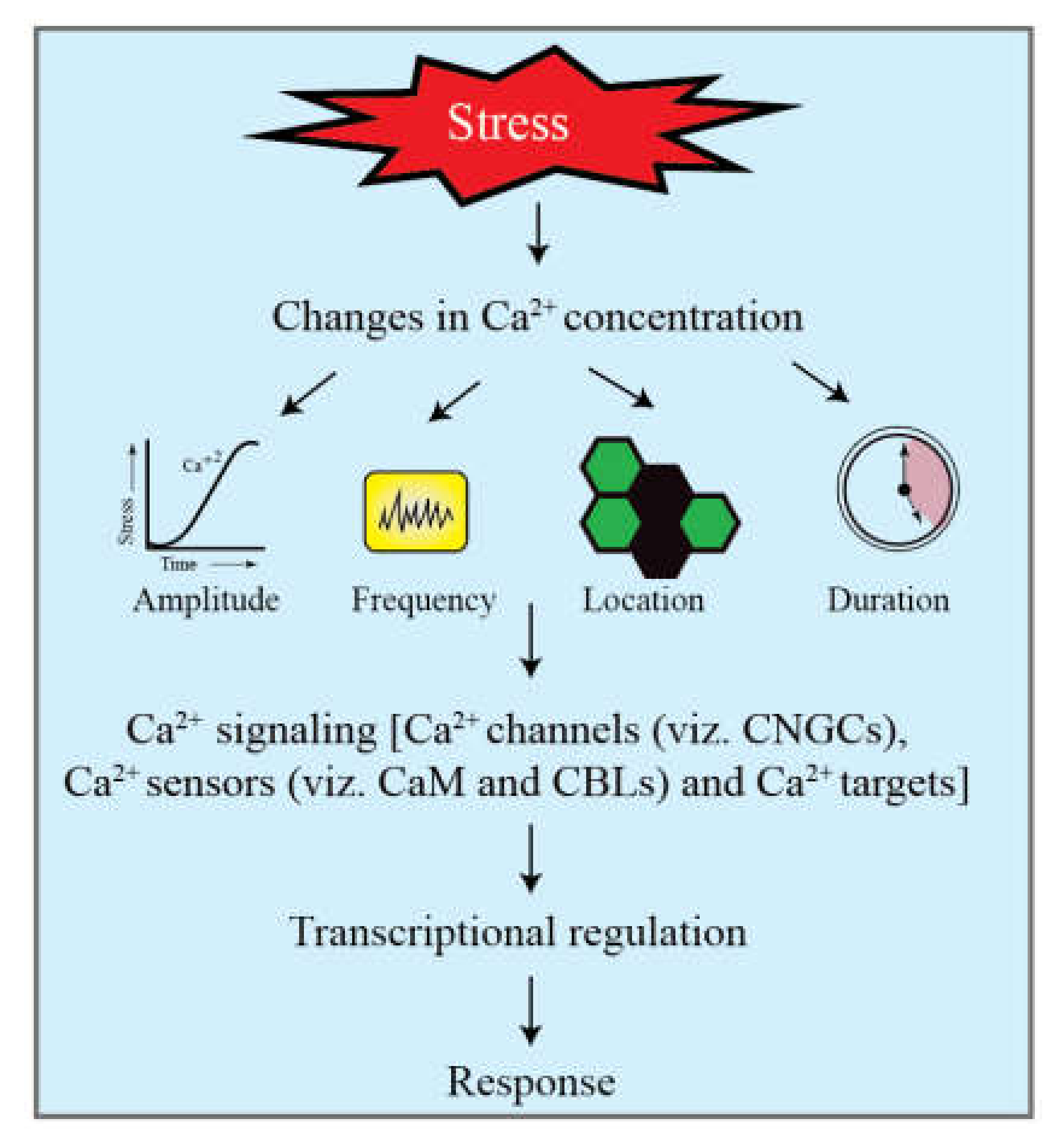 Agronomy 12 00702 g002 Agronomy 12 00702 g002