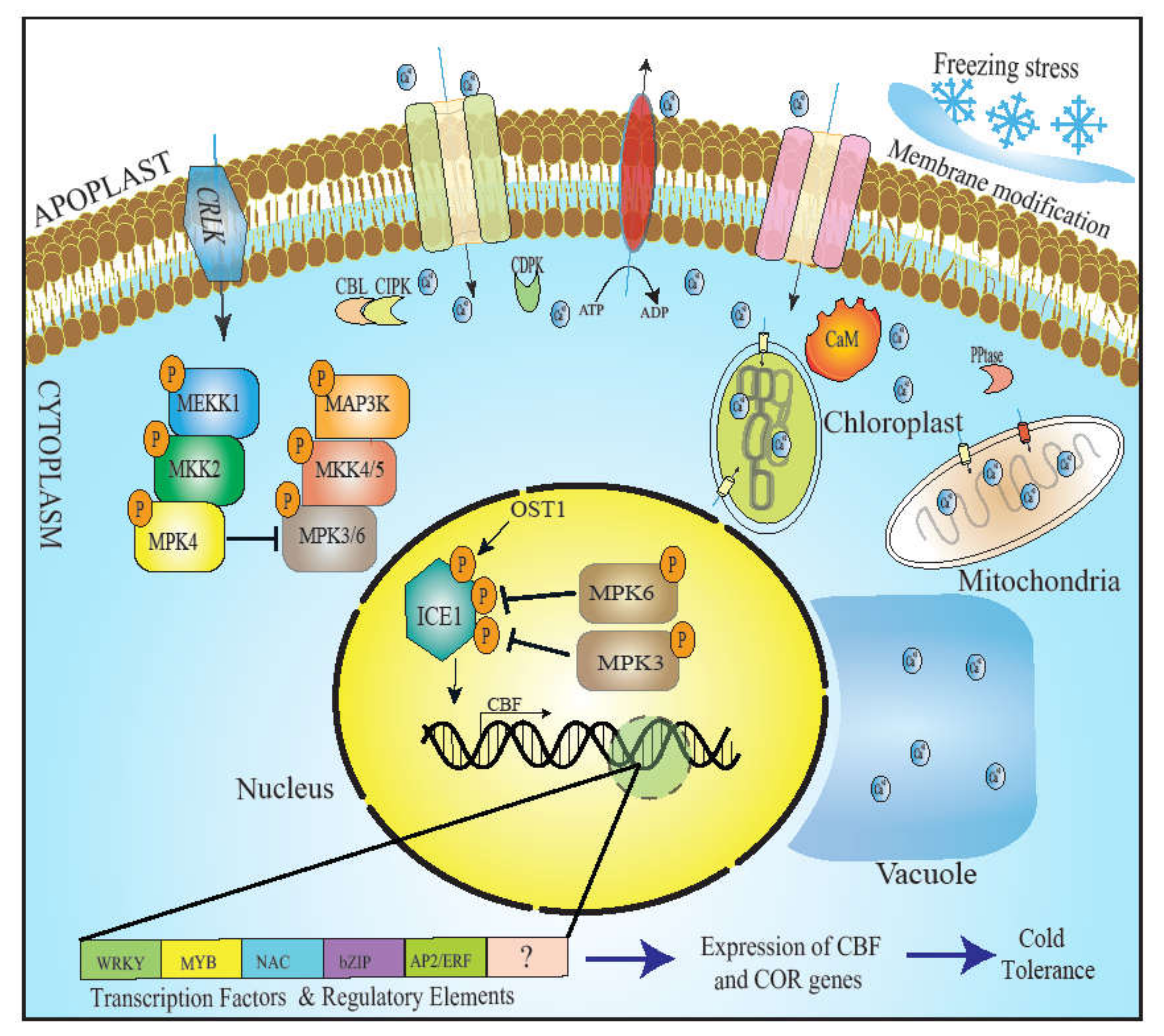 Agronomy 12 00702 g003 Agronomy 12 00702 g003
