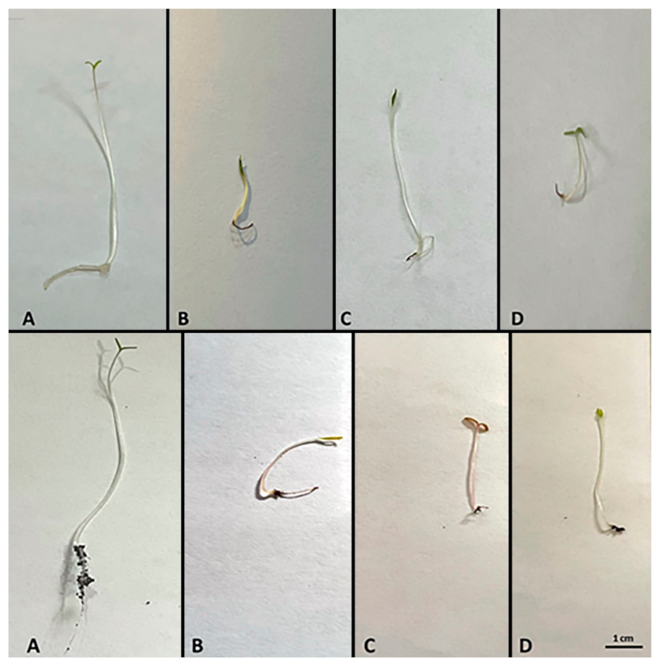 Agronomy 12 00703 g002 Agronomy 12 00703 g002