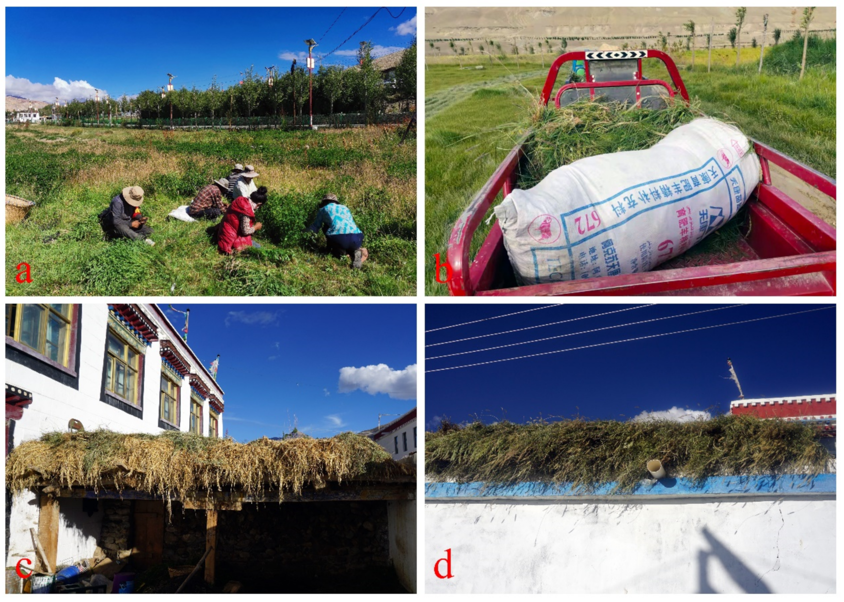 Agronomy 12 00704 g006