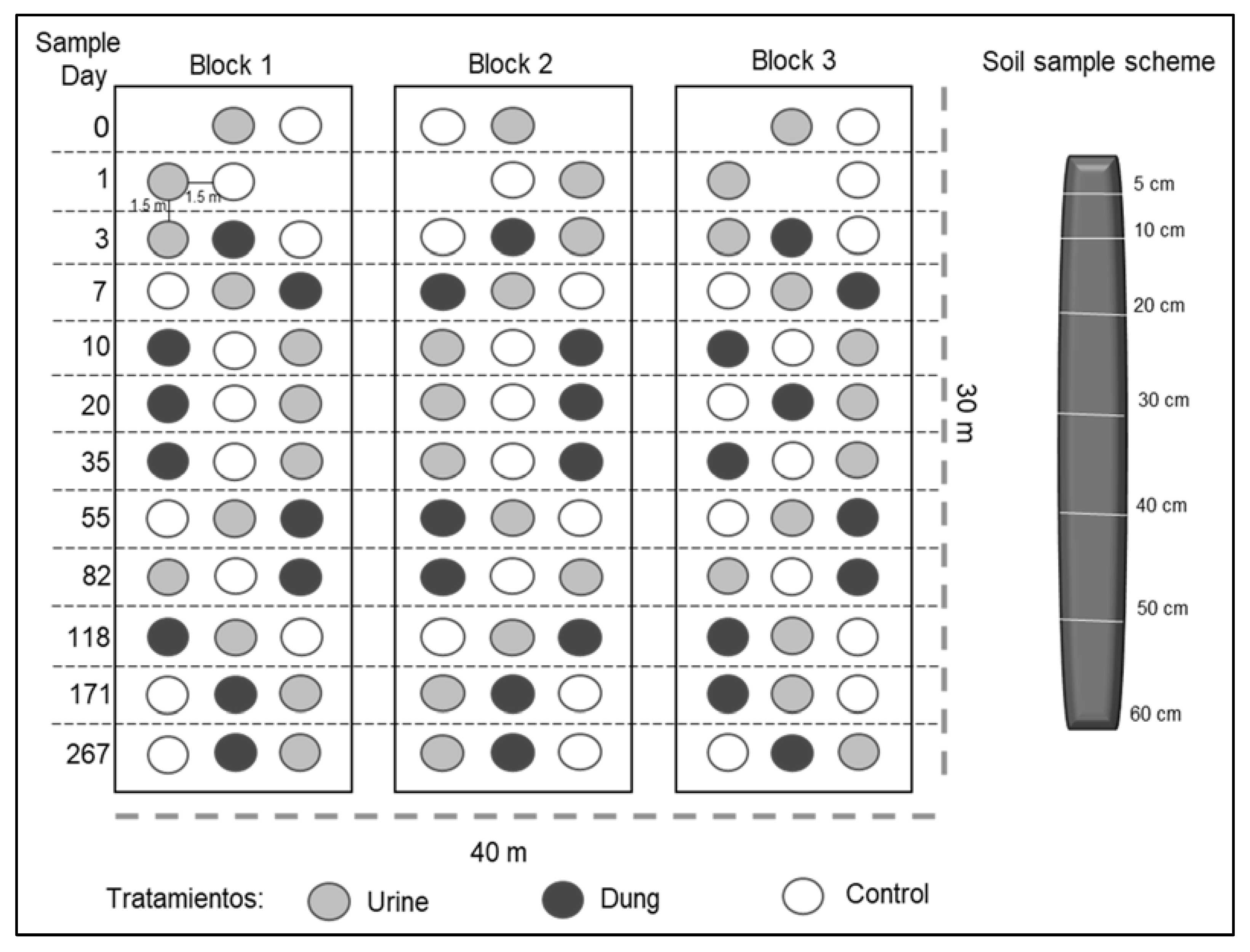 Agronomy 12 00719 g001 Agronomy 12 00719 g001